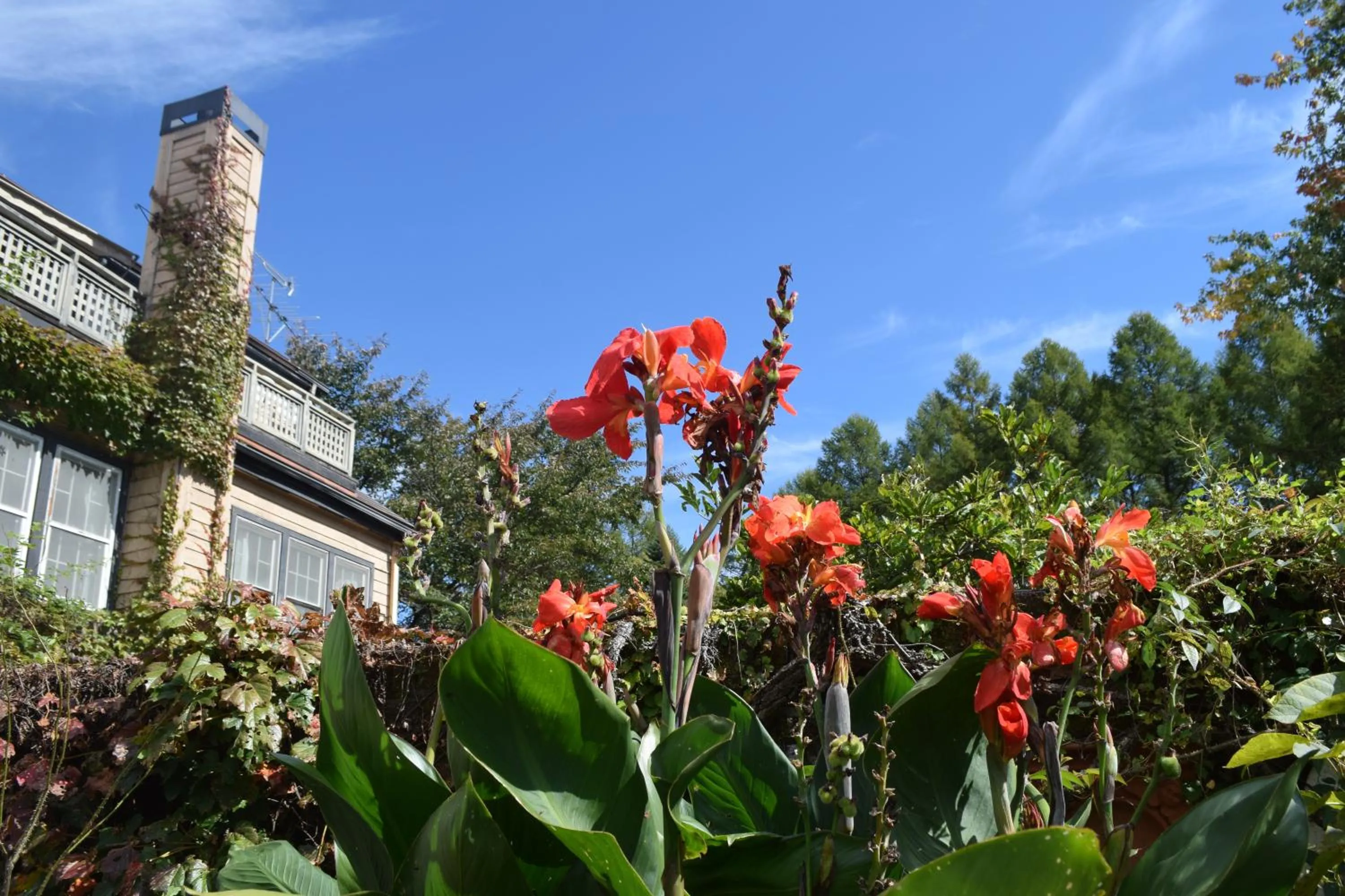 Kurumayama Kogen Guesthouse Urara
