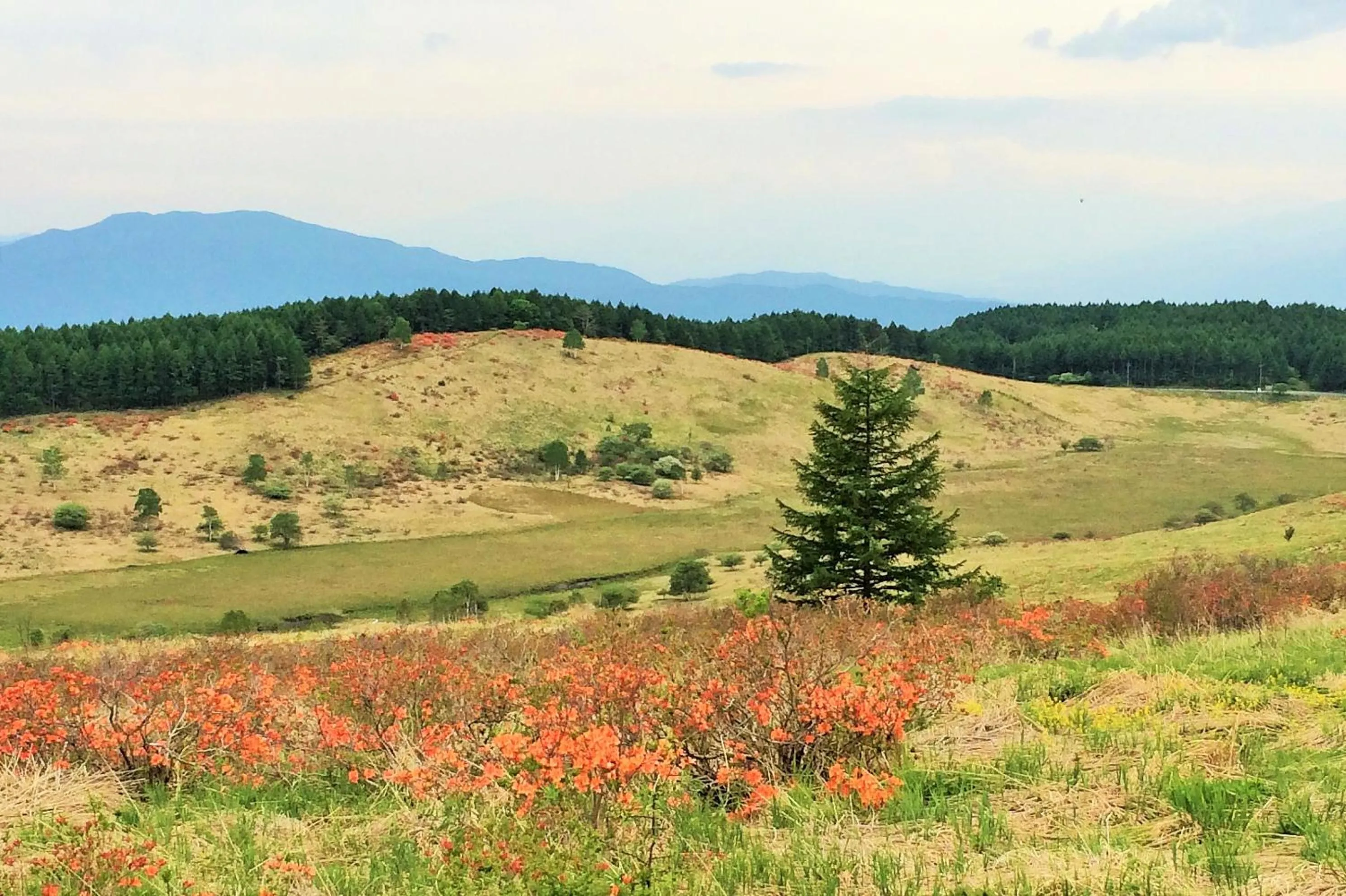 Natural landscape in Kurumayama Kogen Guesthouse Urara