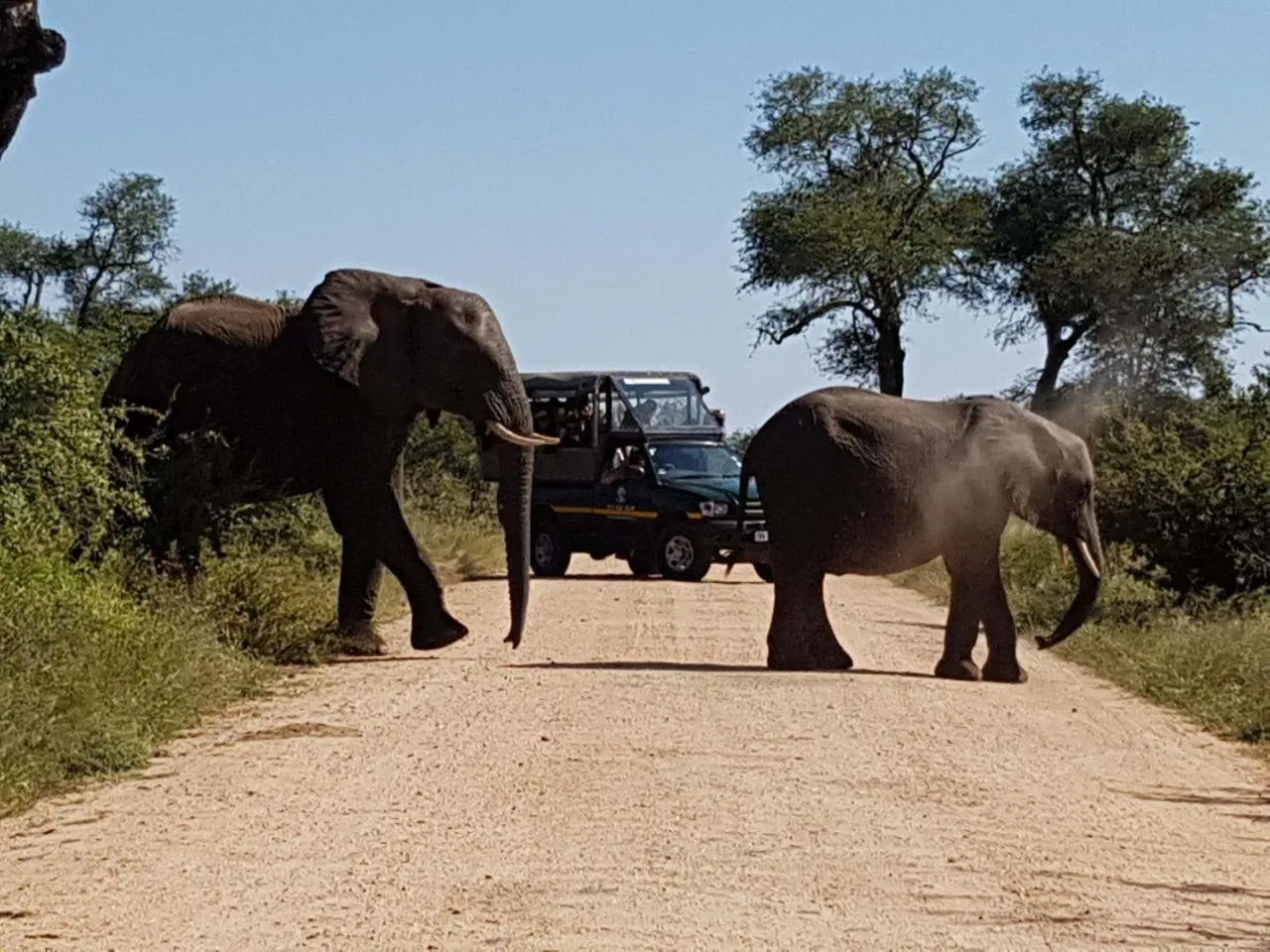 Neighbourhood in eKhaya Bush Lodge
