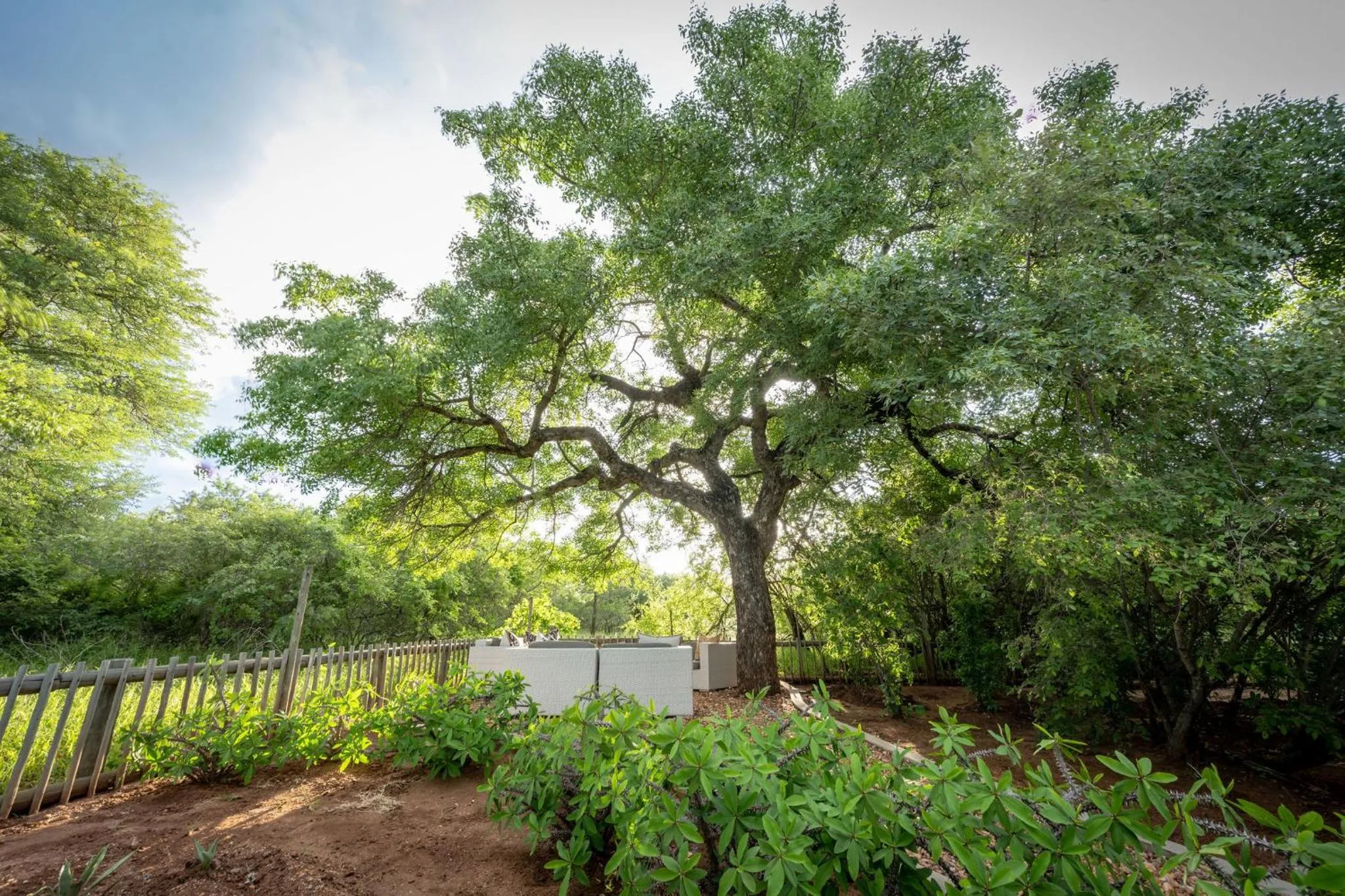 Day in eKhaya Bush Lodge