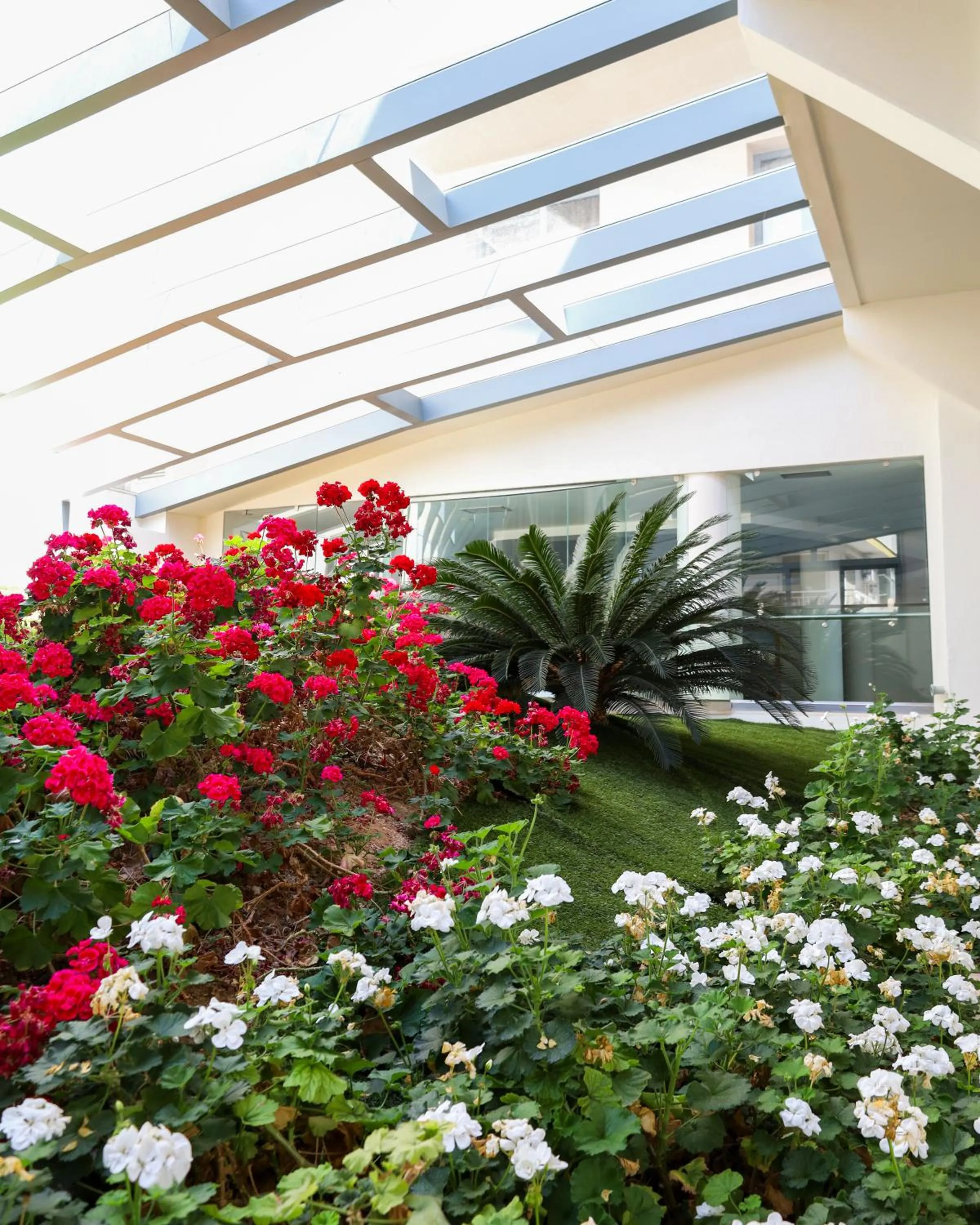 Garden in Aegean Blue Beach Hotel