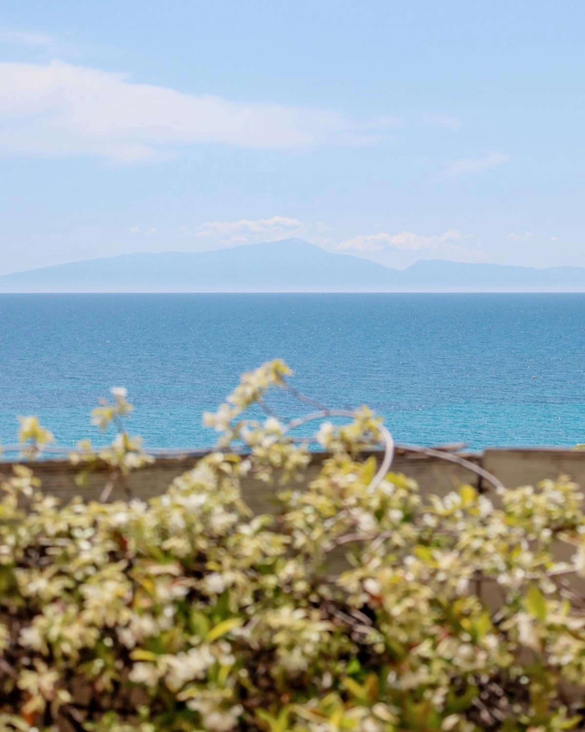 Day in Aegean Blue Beach Hotel