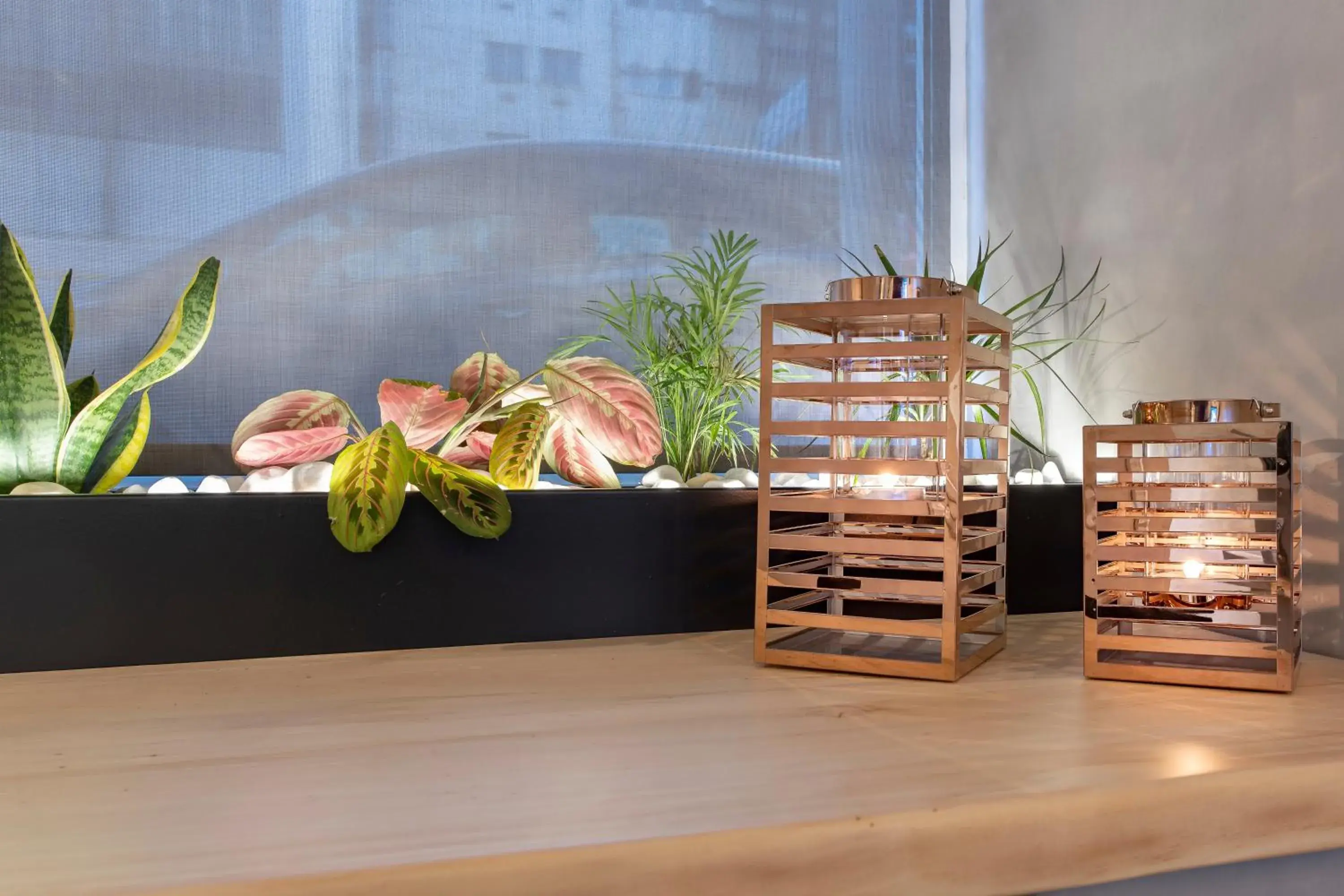 Lobby or reception in Acropolis Stay Lobby or reception in Acropolis Stay