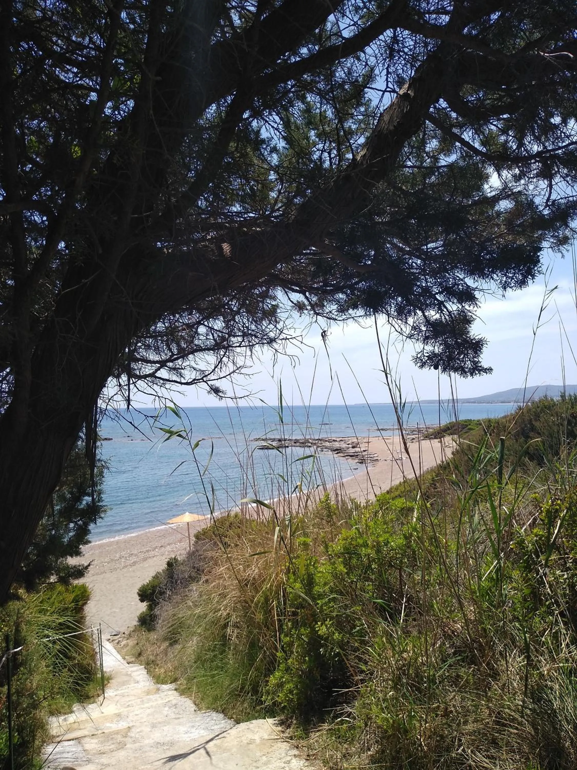 Natural landscape in Villa Nastazia