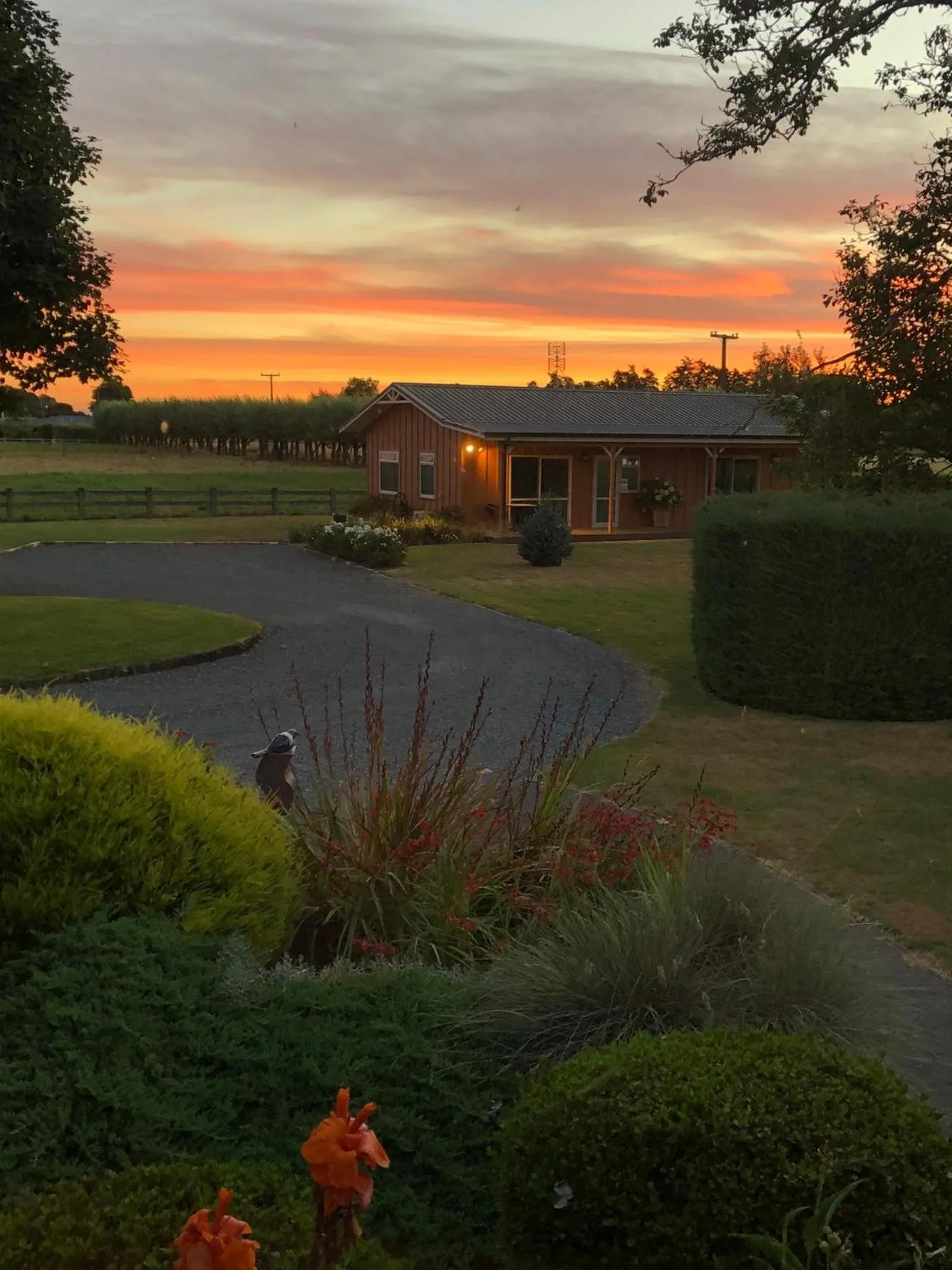 Property building in Walnut Lodge B&B