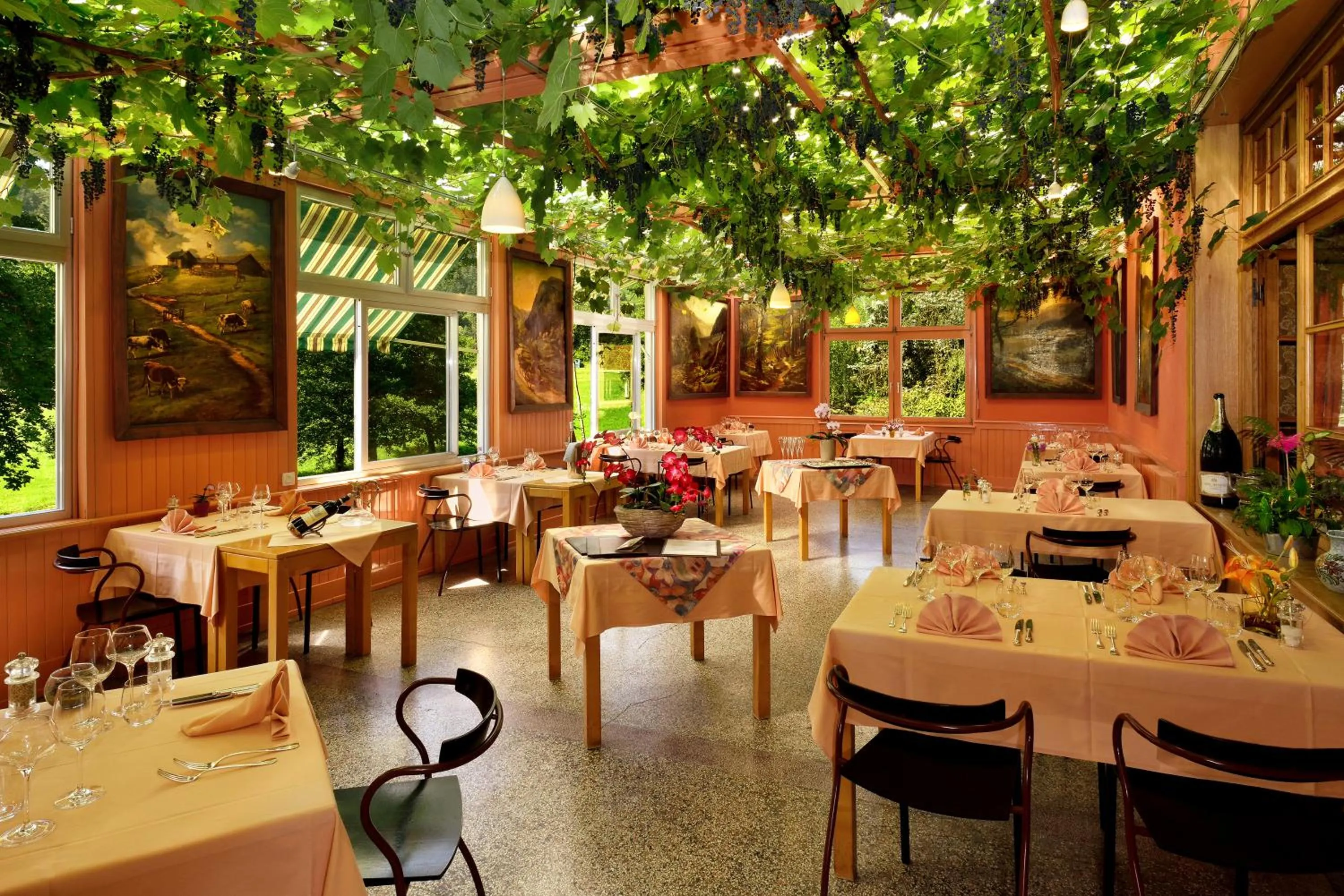 Patio in Logis Hotel Des Vosges