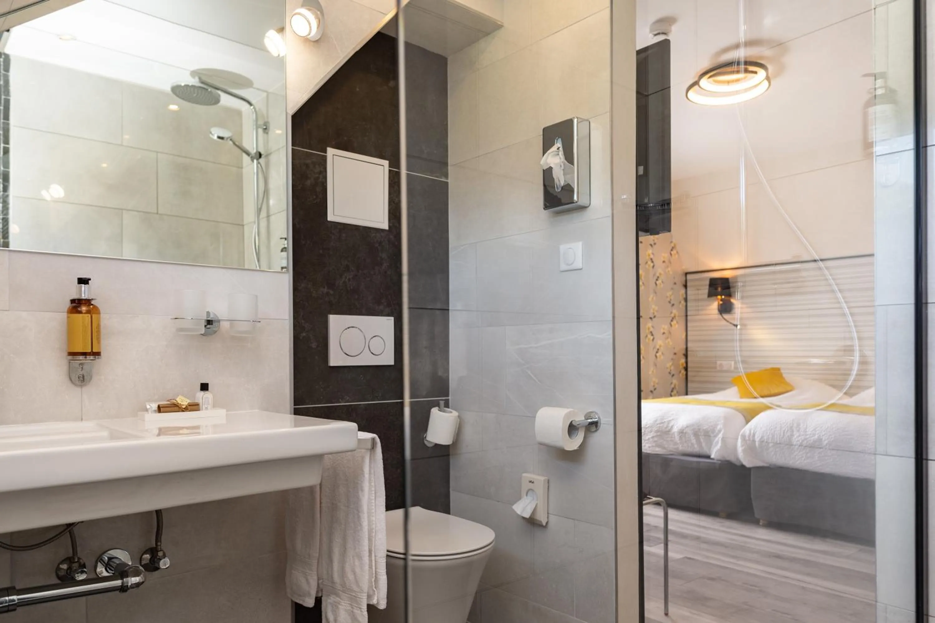 Shower in Logis Hotel Des Vosges