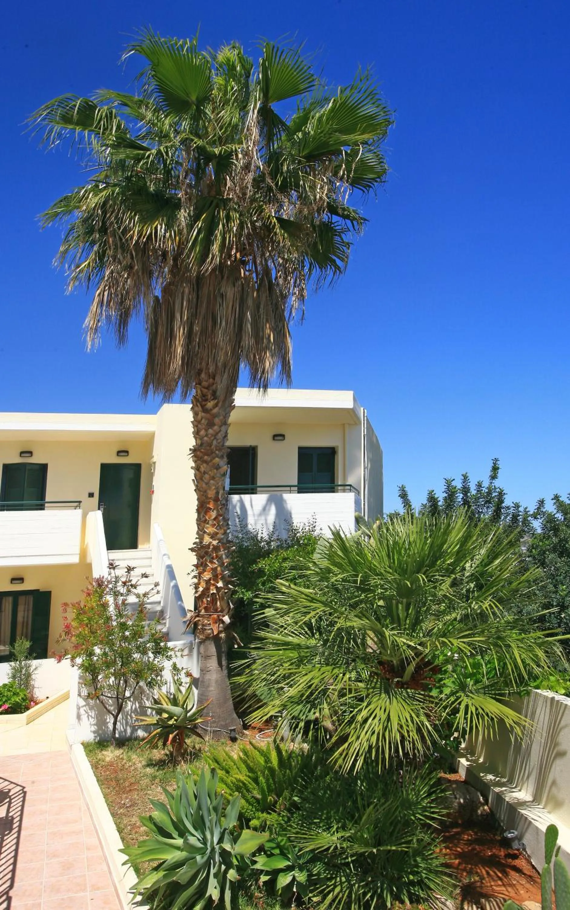 Garden in Eurohotel Katrin Suites