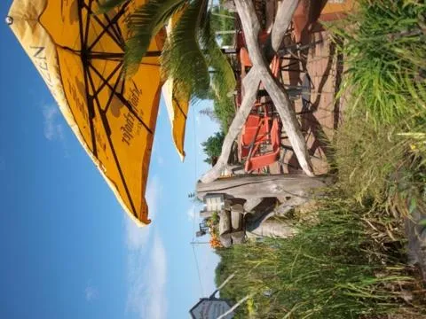 Garden in Landhotel zum Honigdieb