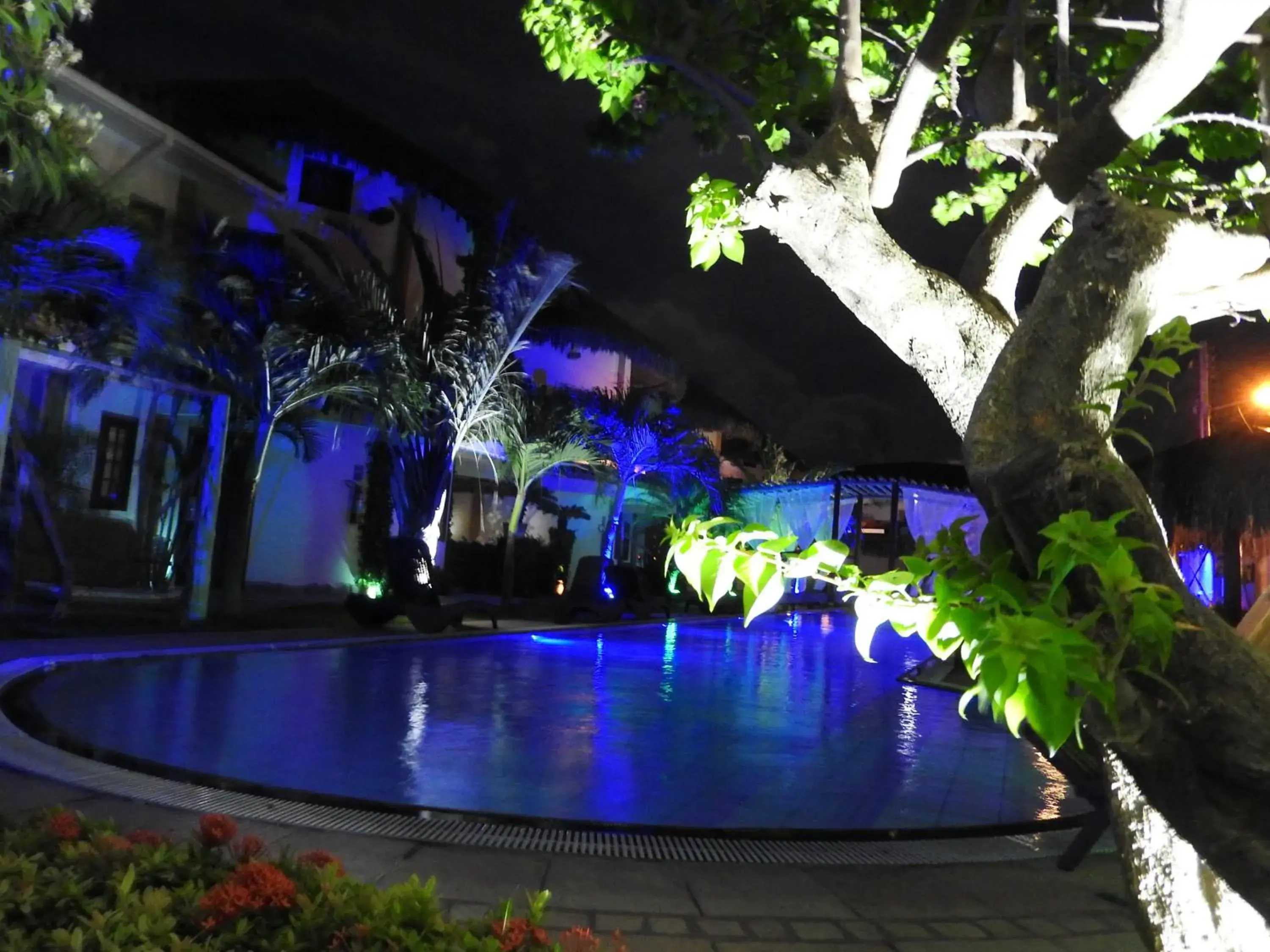 Bird's eye view in IL Nuraghe Bird's eye view in IL Nuraghe