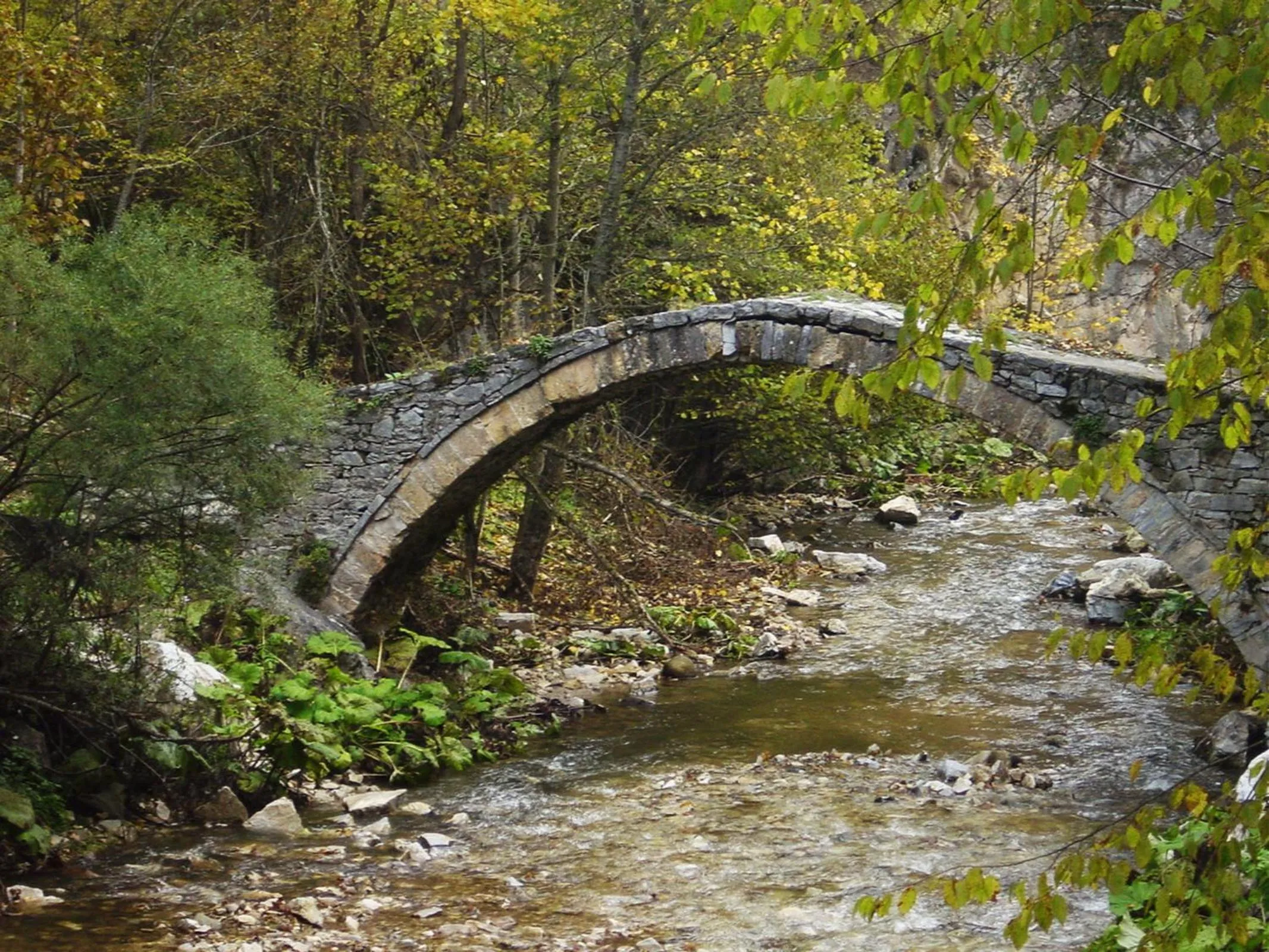 Fishing in Devin Spa Hotel