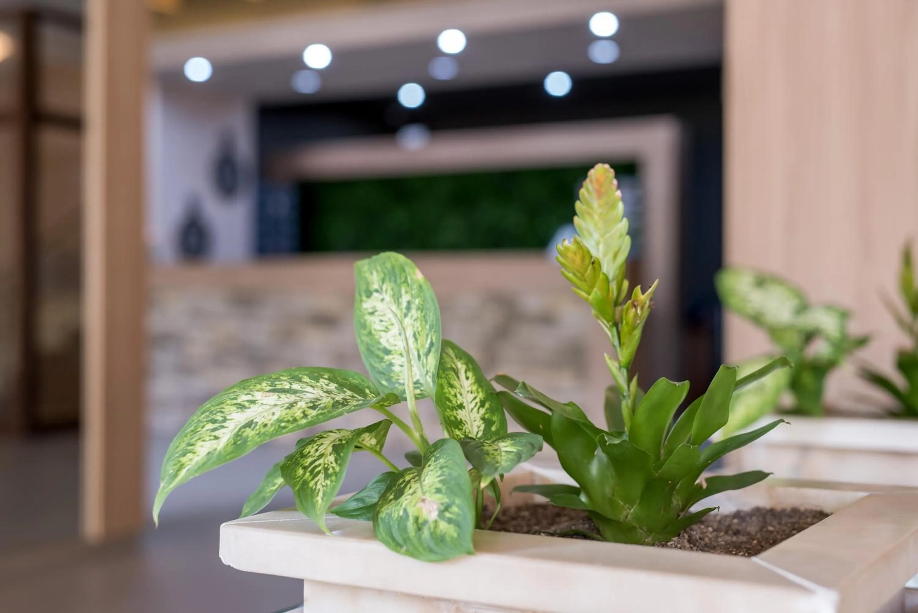 Decorative detail in Devin Spa Hotel