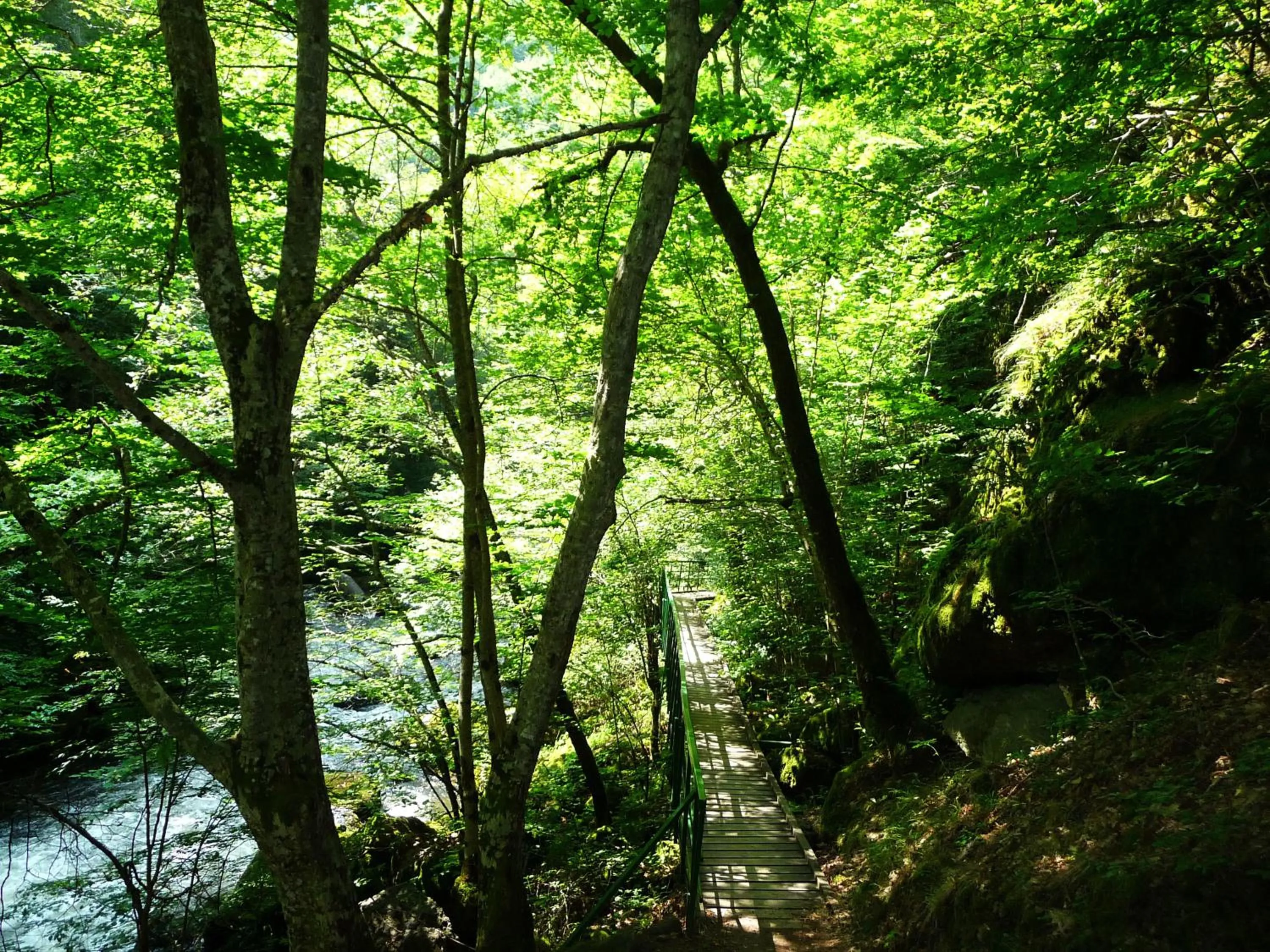 Fishing in Devin Spa Hotel