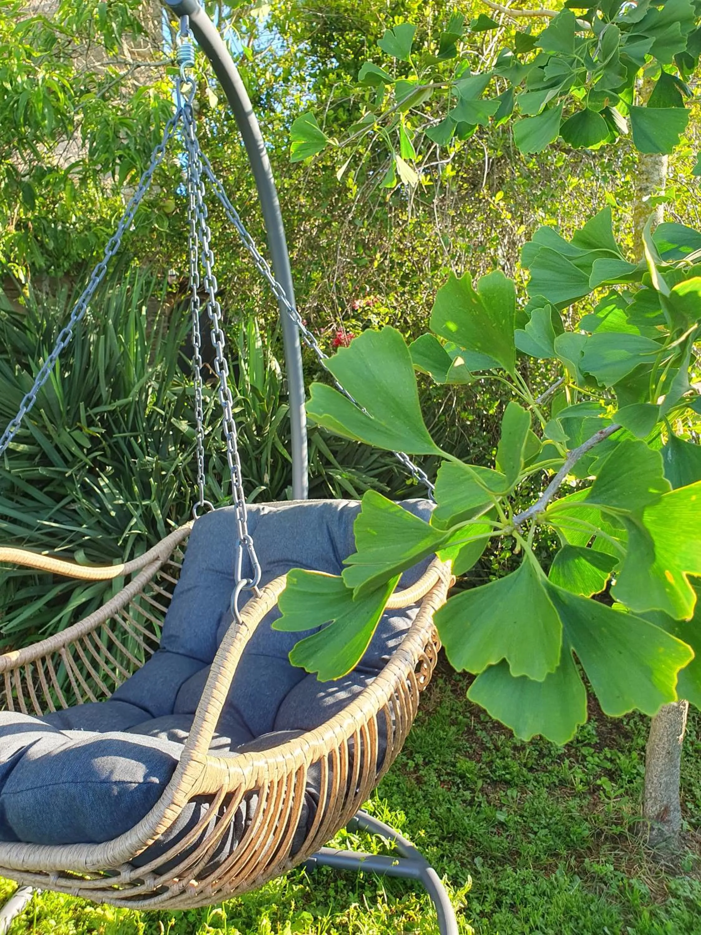 Spa and wellness centre/facilities in La Colline du Chat Perche