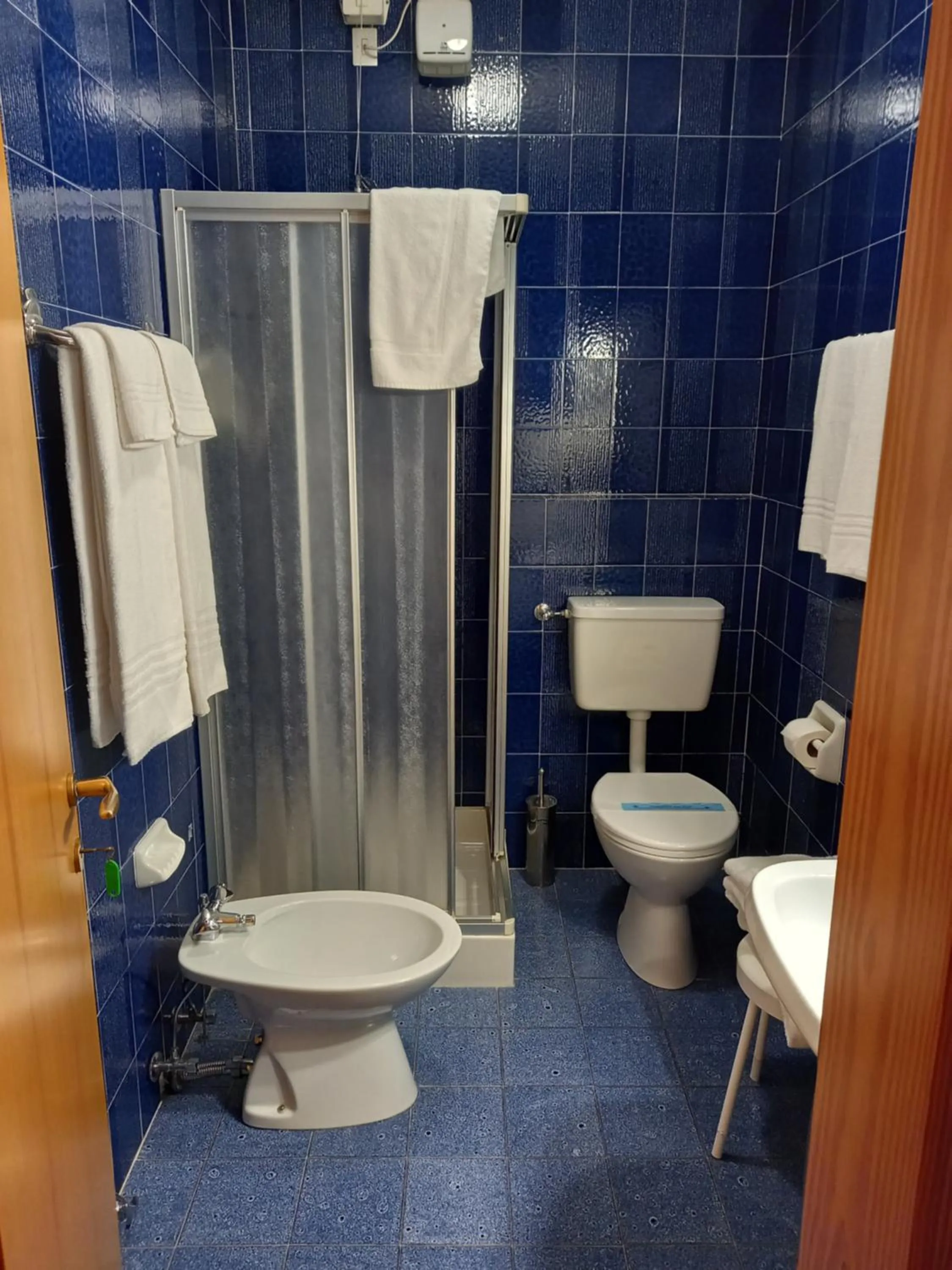 Toilet in Albergo Scoiattolo