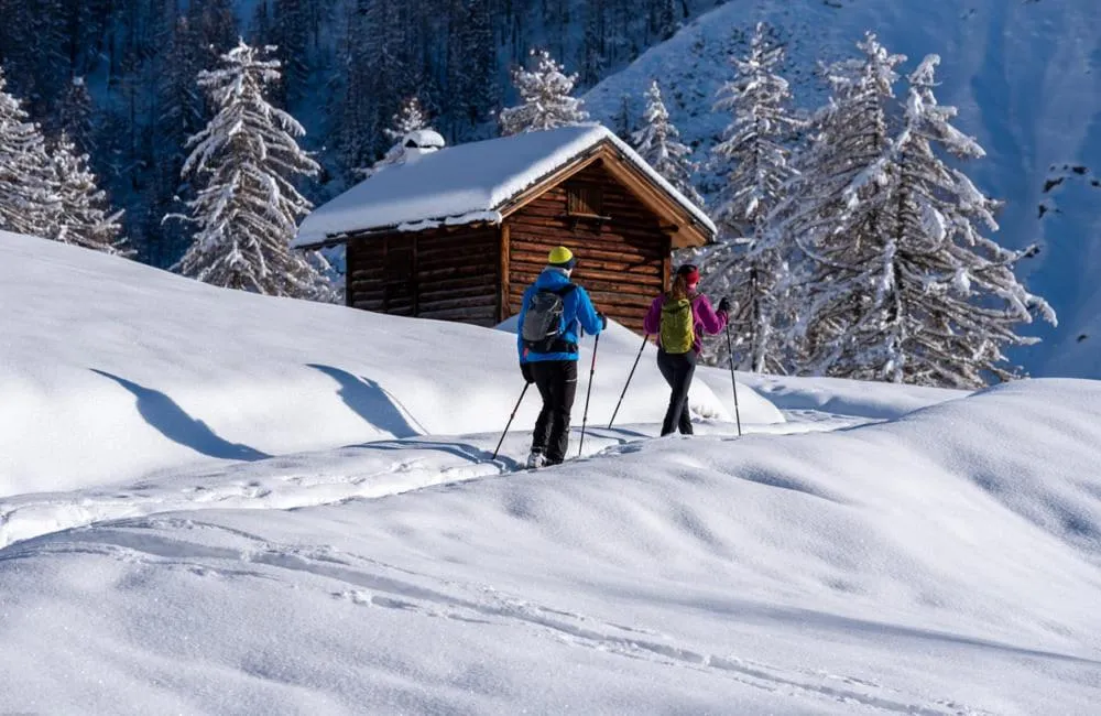 Restaurant/places to eat in Albergo Scoiattolo