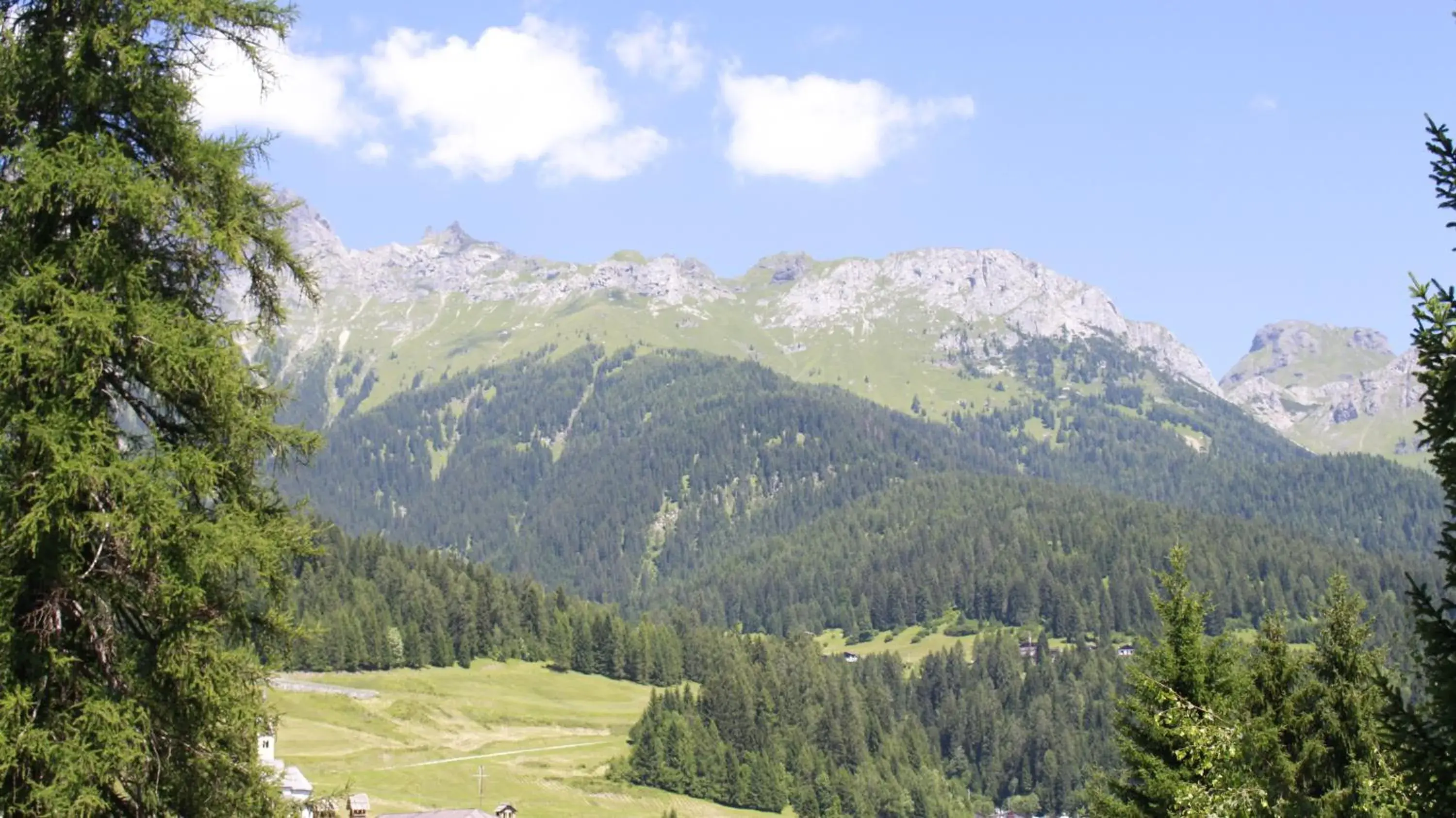 Standard Double Room in Albergo Scoiattolo Standard Double Room in Albergo Scoiattolo