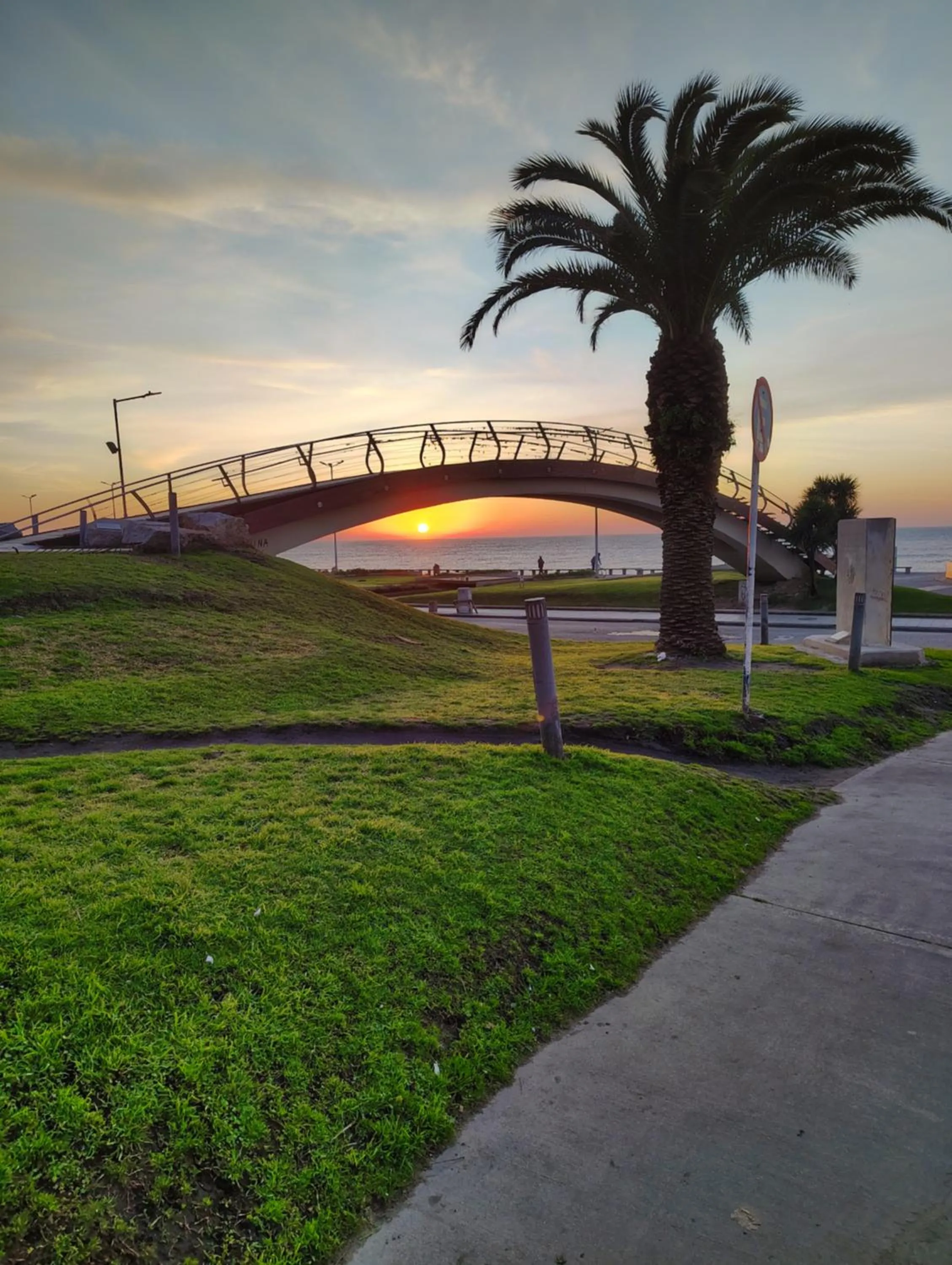 Natural landscape in Hotel Guerrero