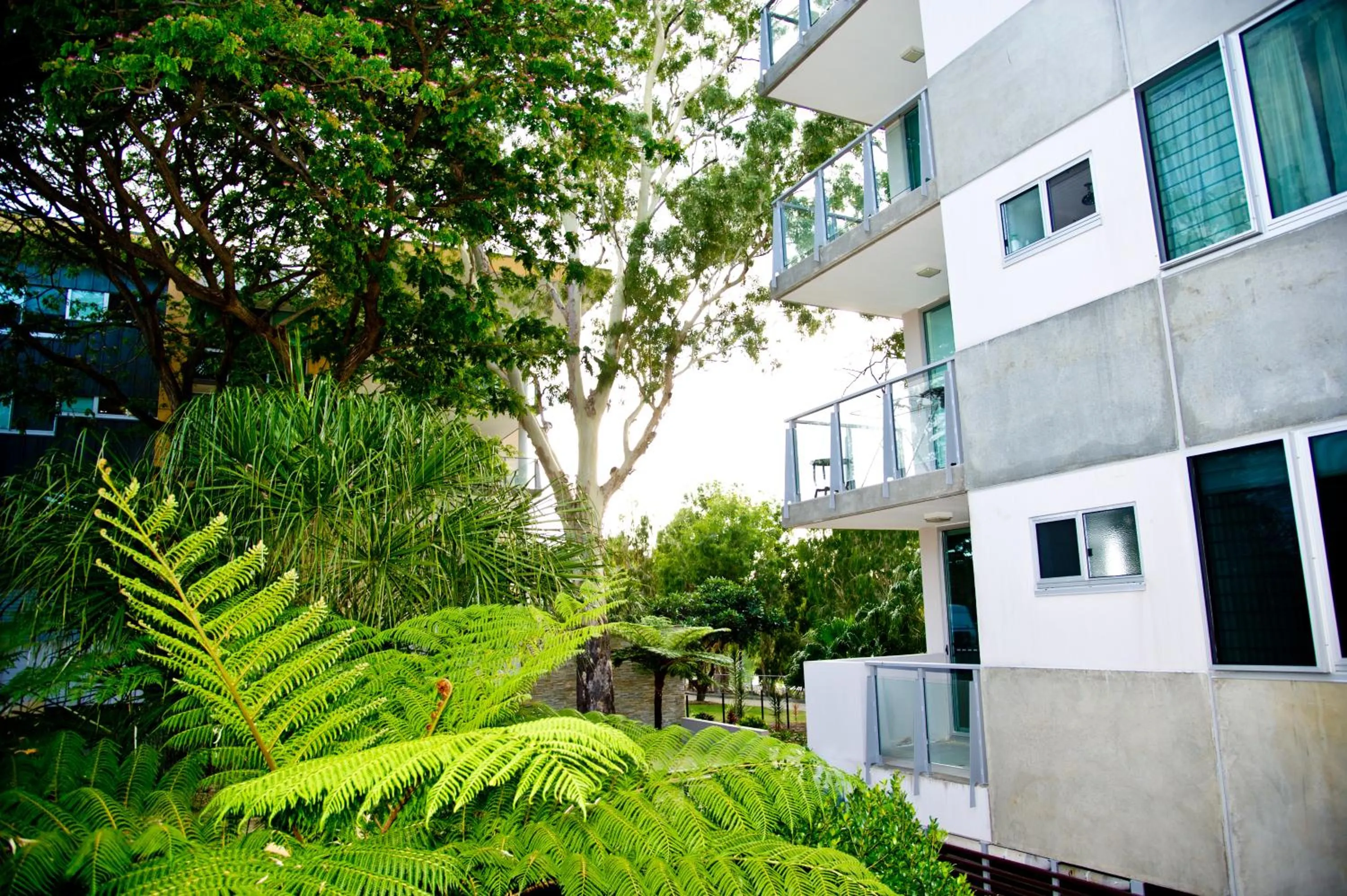 Natural landscape in Itara Apartments