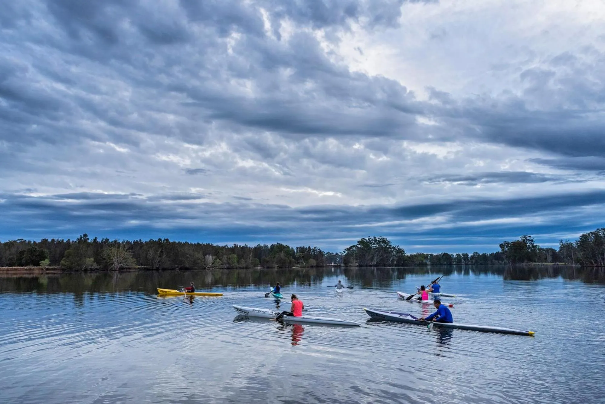 Activities in Discovery Parks - Forster