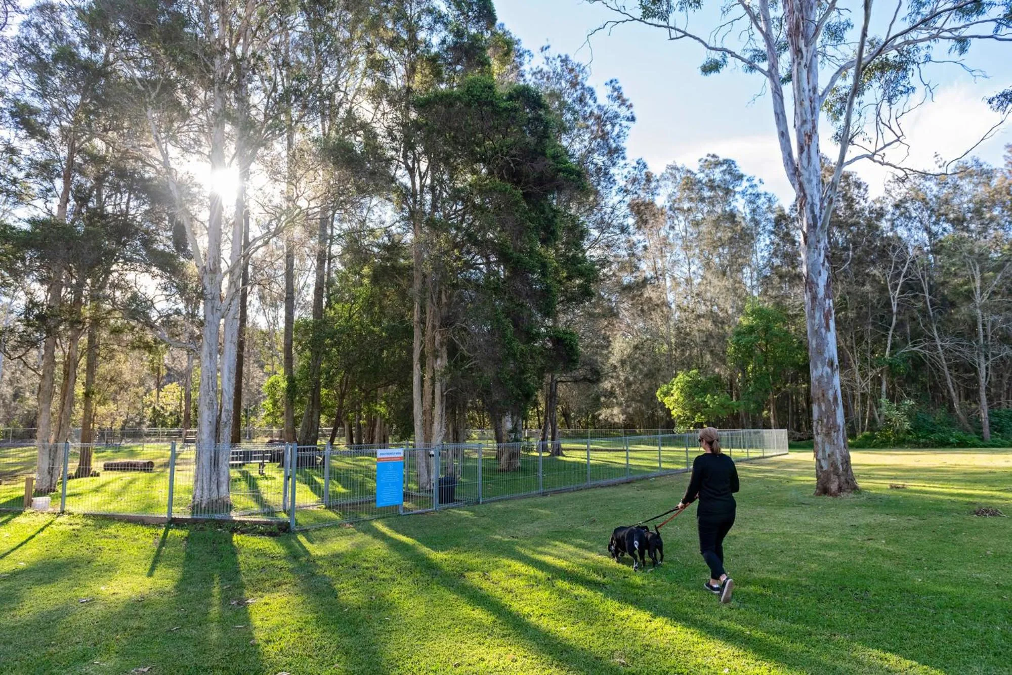 Pets in Discovery Parks - Forster