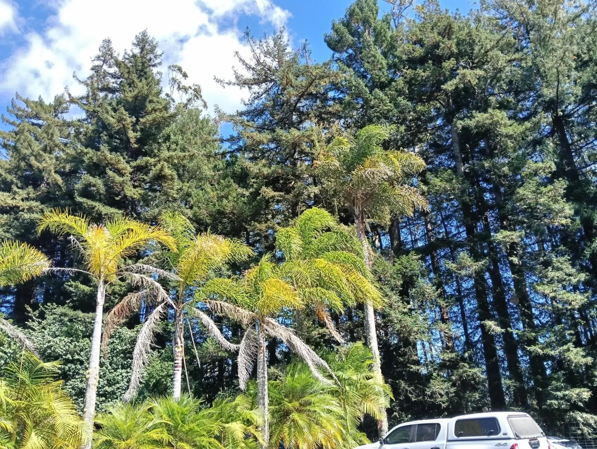 Natural landscape in Woodlands Motel