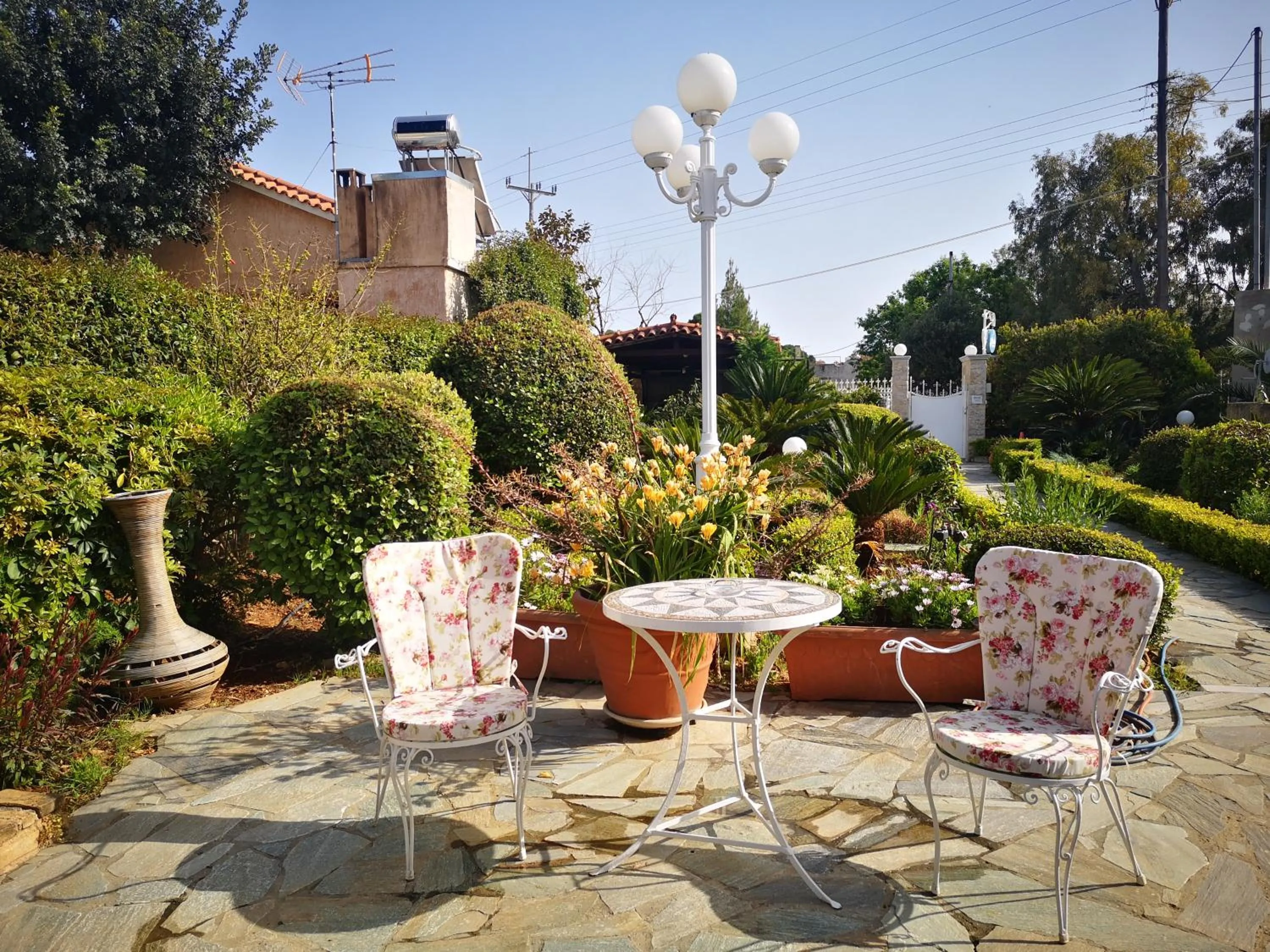 Garden in Natalie Apartments