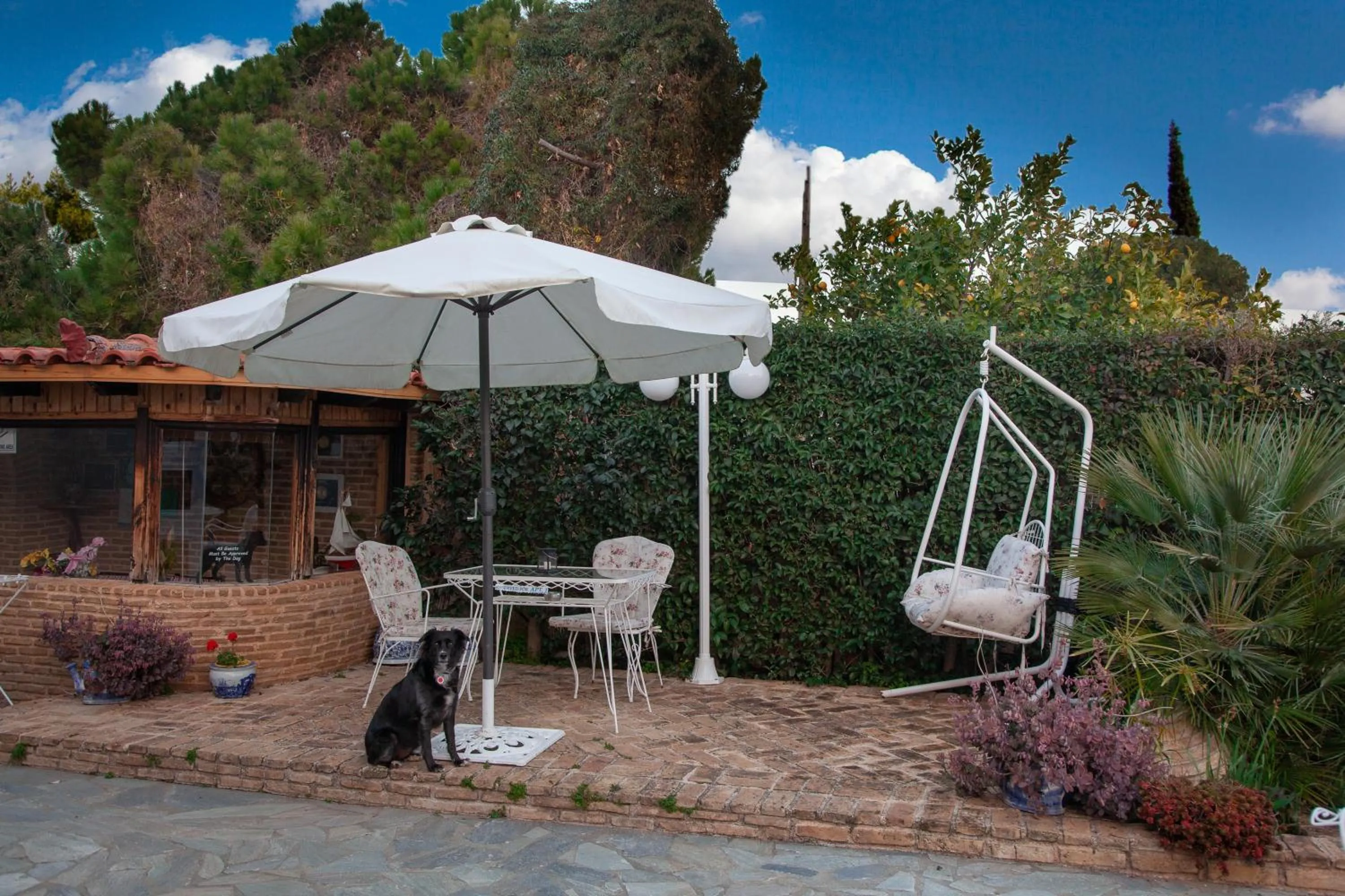 Patio in Natalie Apartments