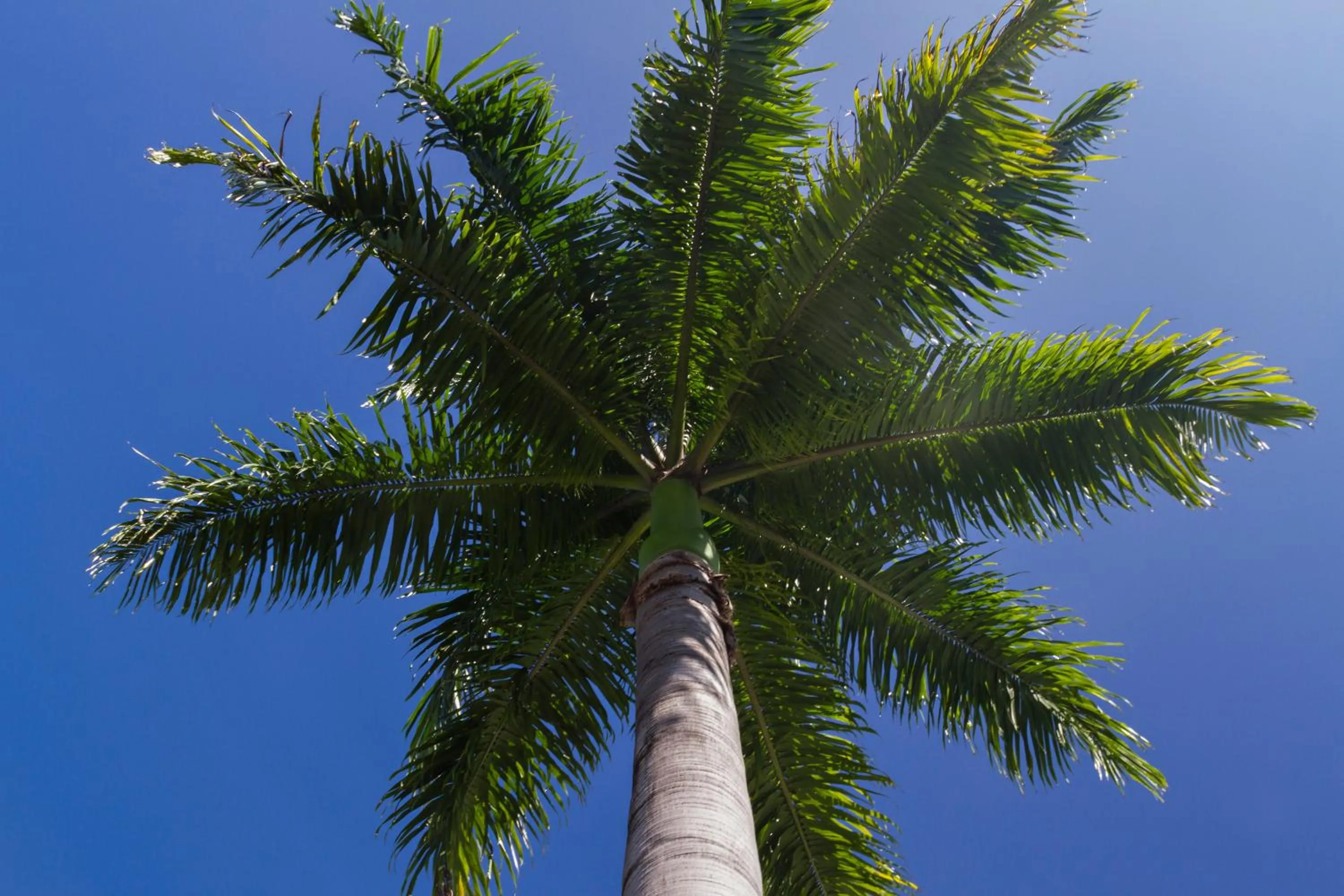 Other in Port Douglas Plantation Resort