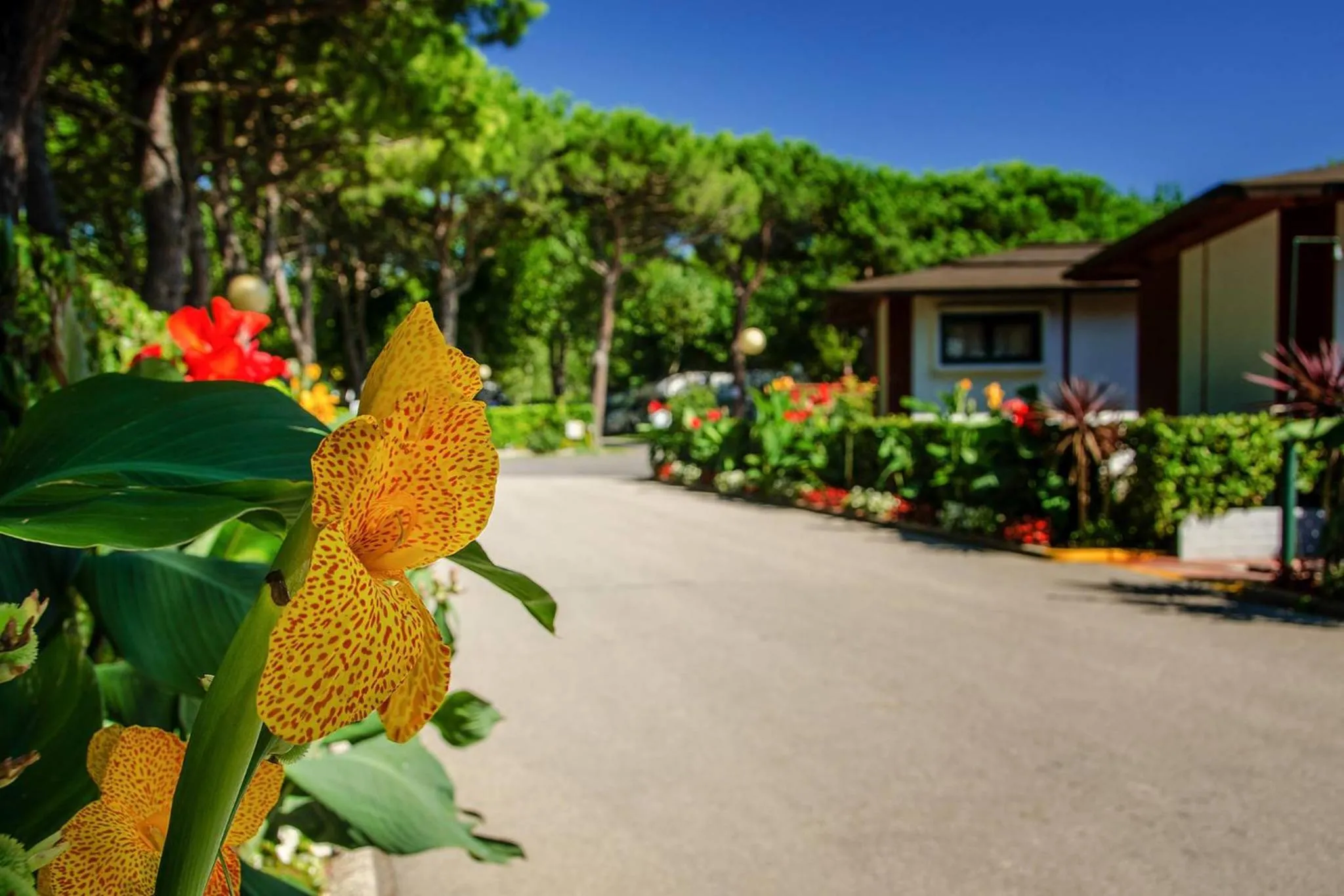 Camping Village Miramare