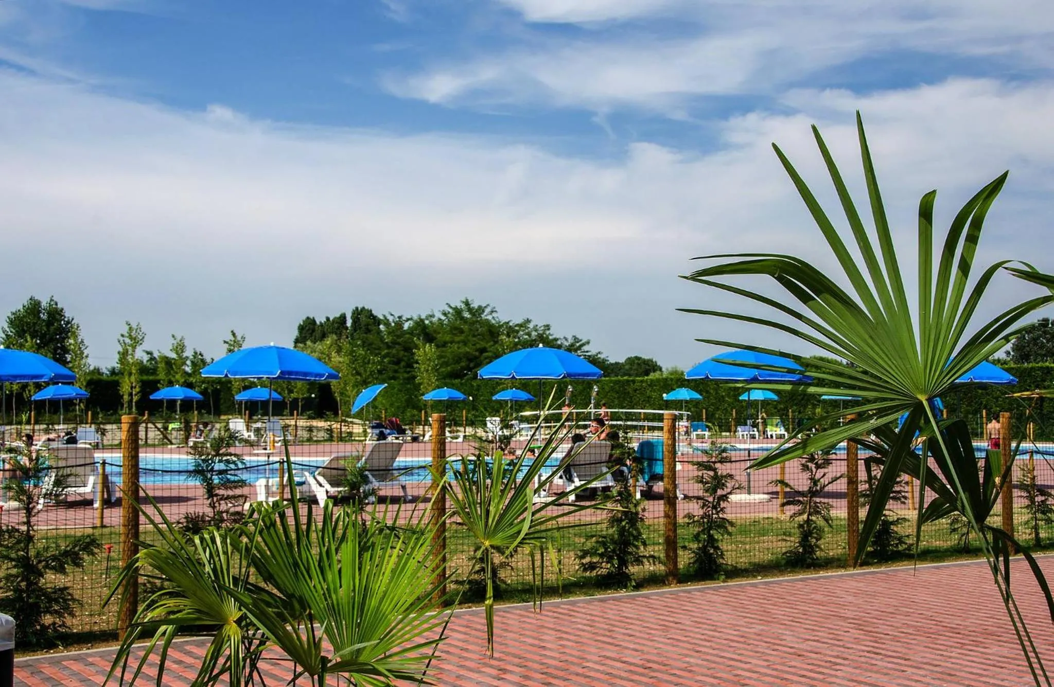 Summer in Camping Village Miramare
