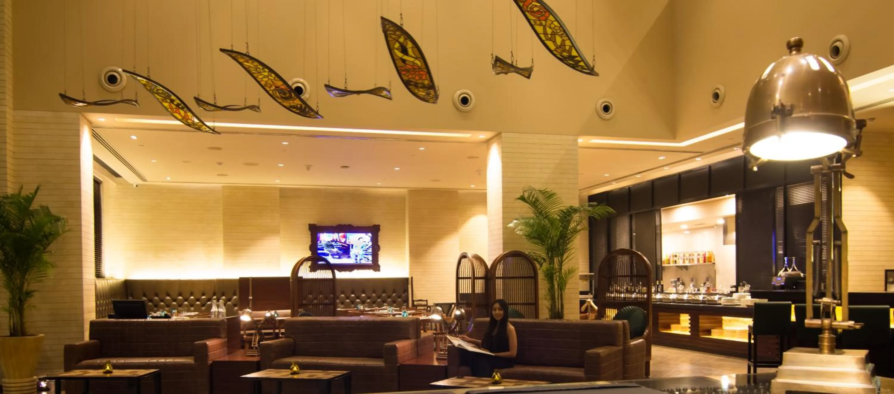 Area and facilities in Lemon Tree Premier City Center