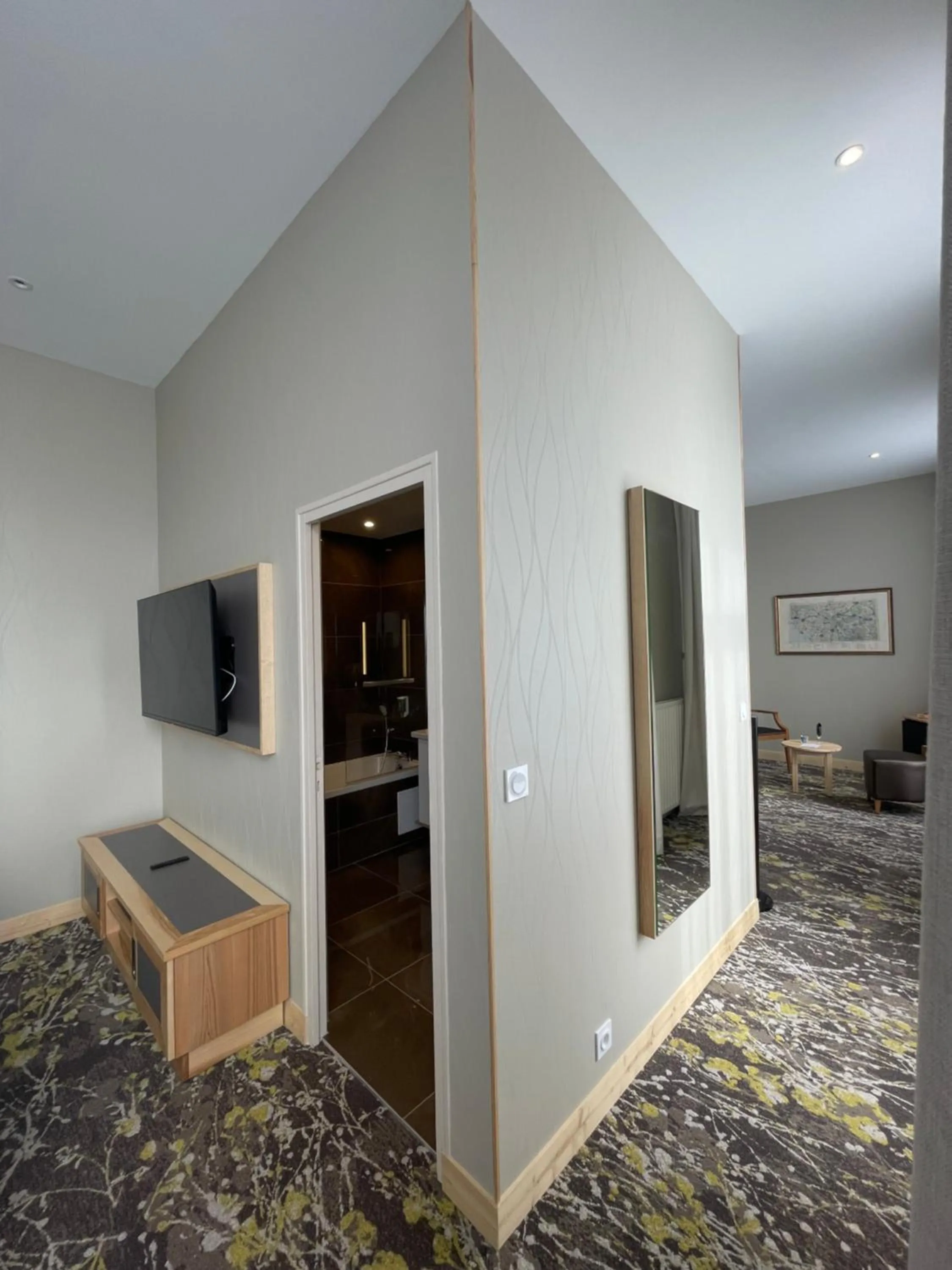 Communal lounge/ TV room in Hotel Le Cercle