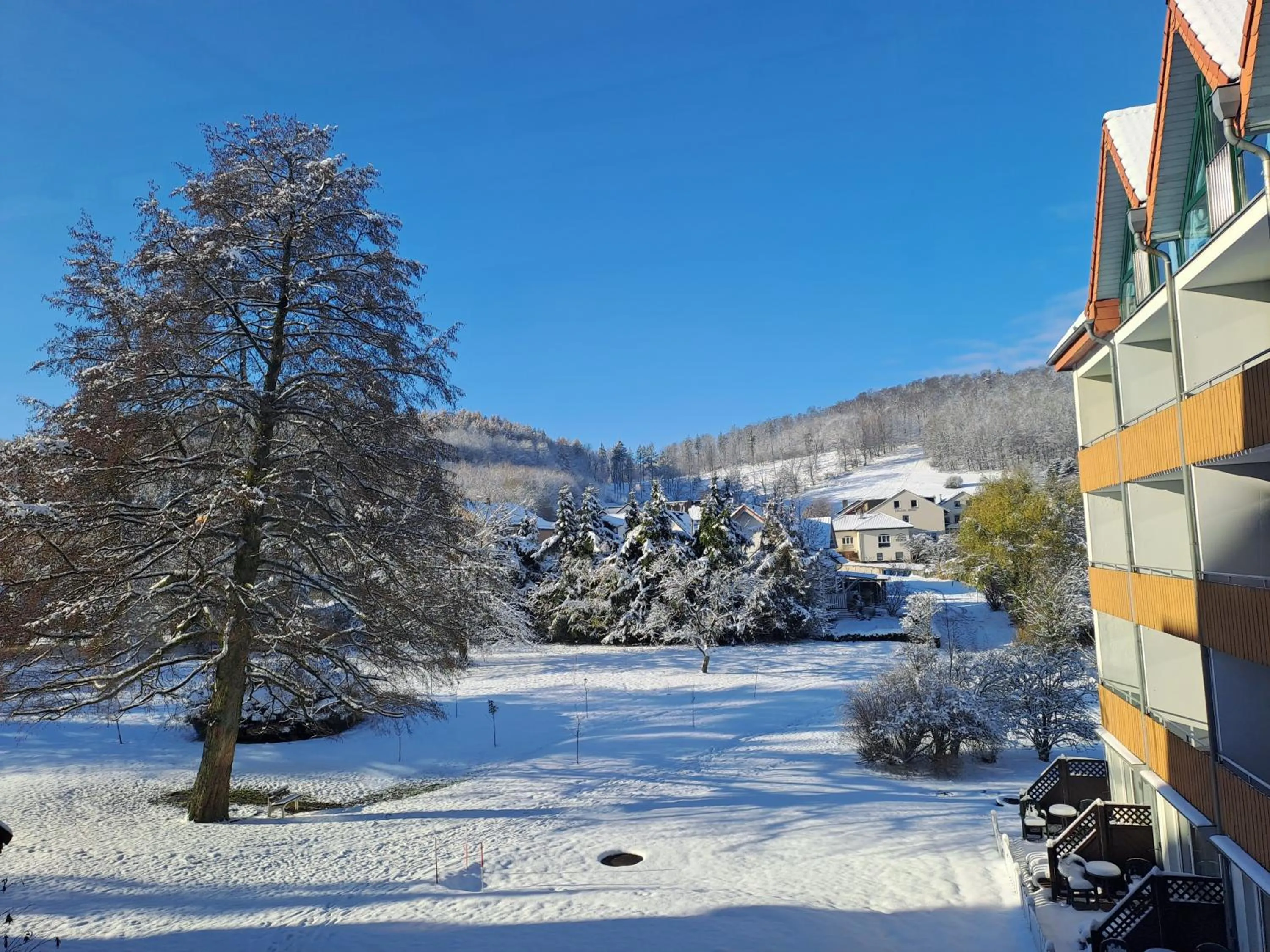 Winter in Waldhotel Bärenstein