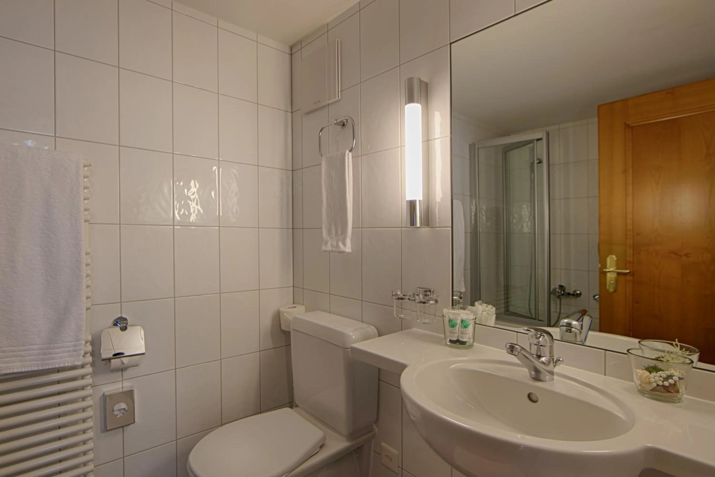 Standard Double Room in Hotel Hecht