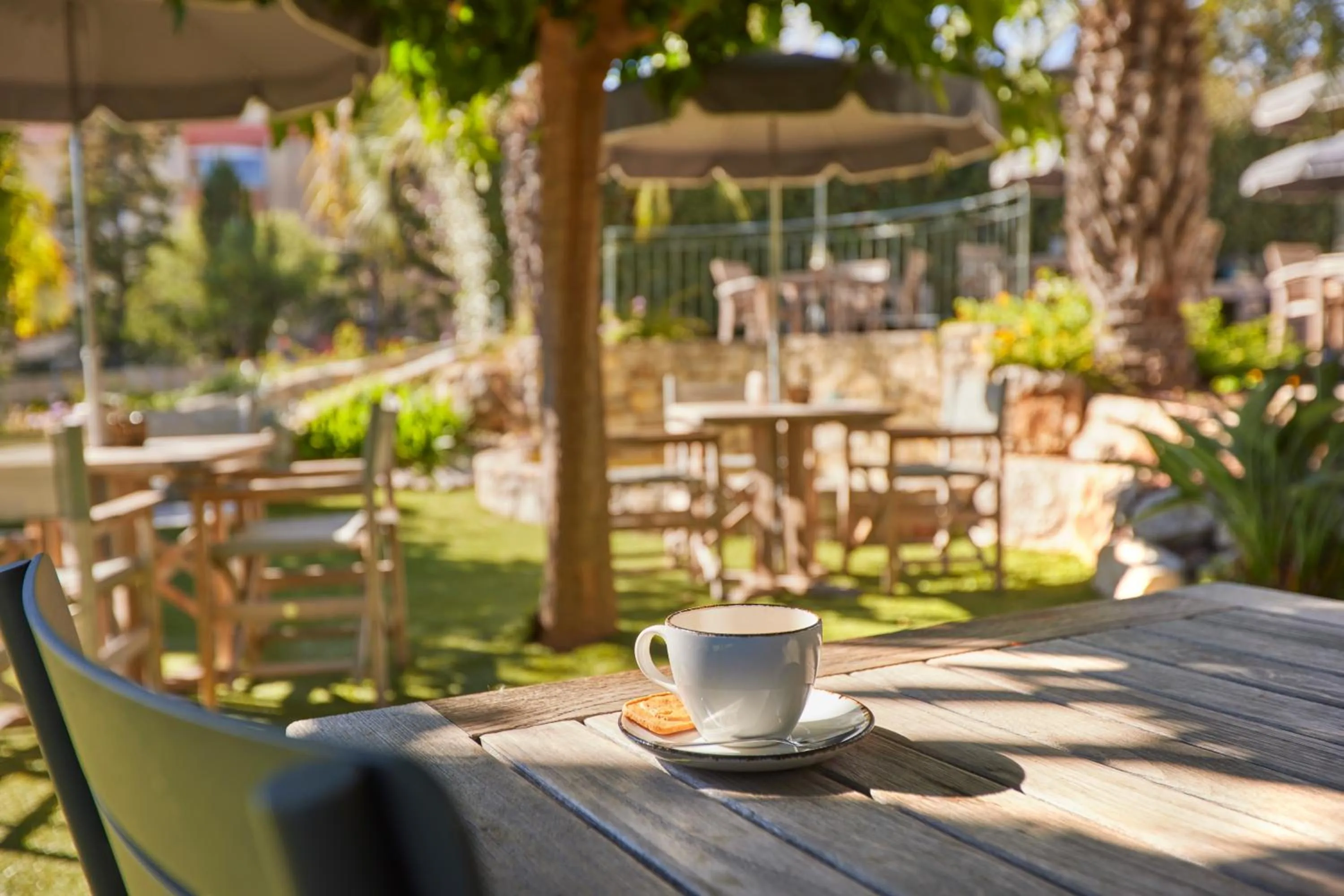 Garden in Van der Valk Hotel Le Catalogne Saint Aygulf