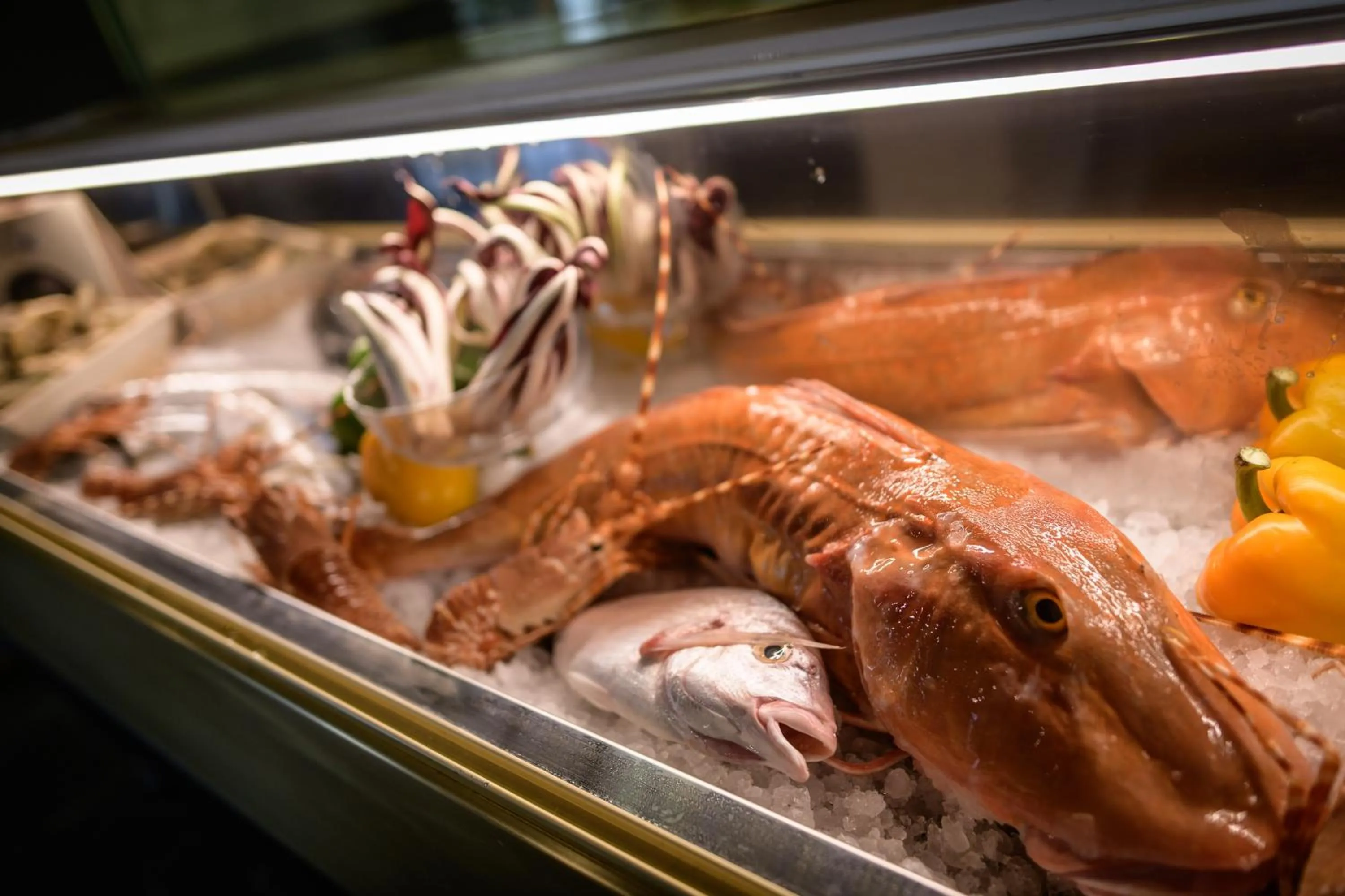 Restaurant/places to eat in Manuelina Taste Hotel