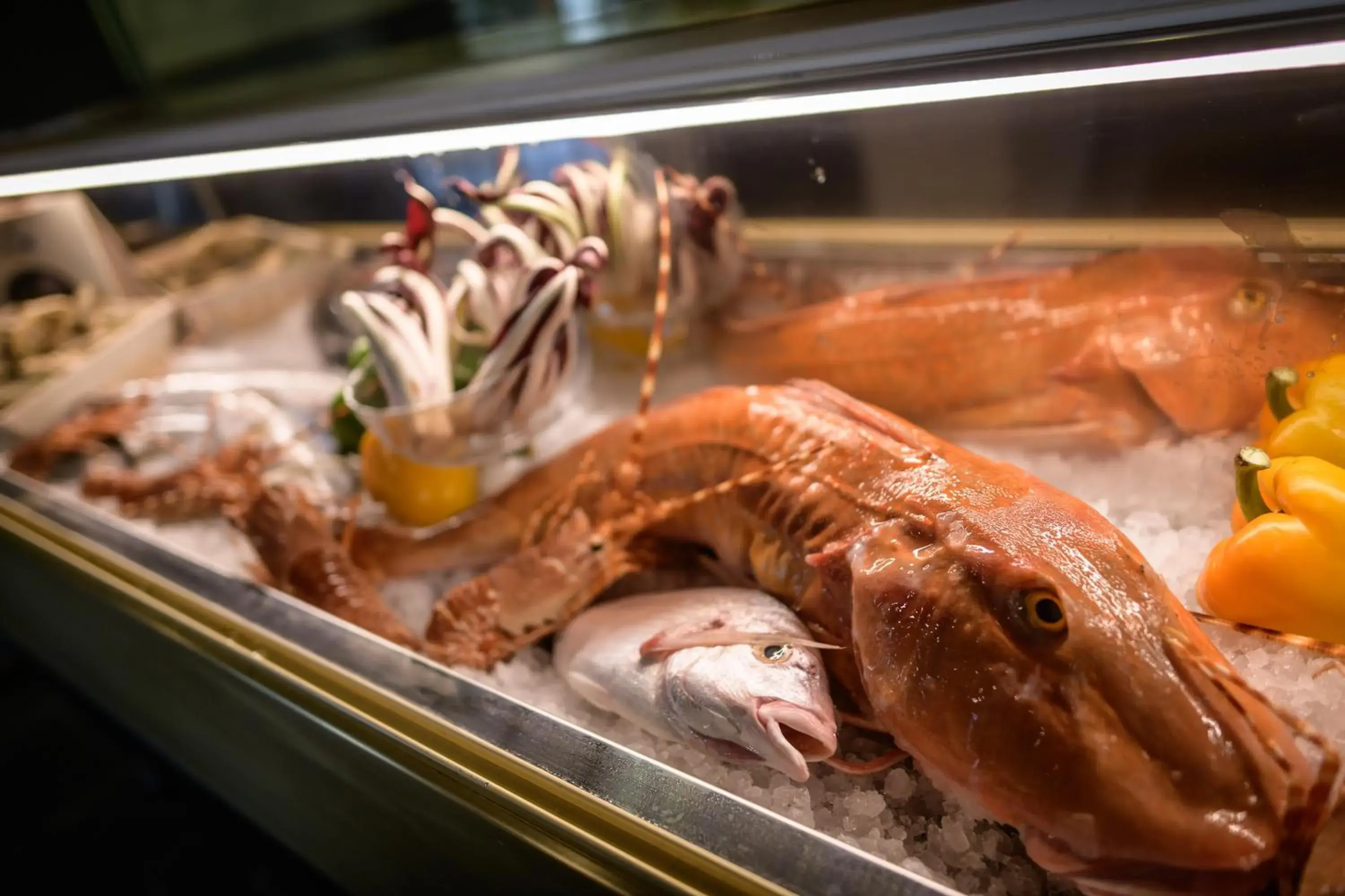 Restaurant/places to eat in Manuelina Taste Hotel Restaurant/places to eat in Manuelina Taste Hotel