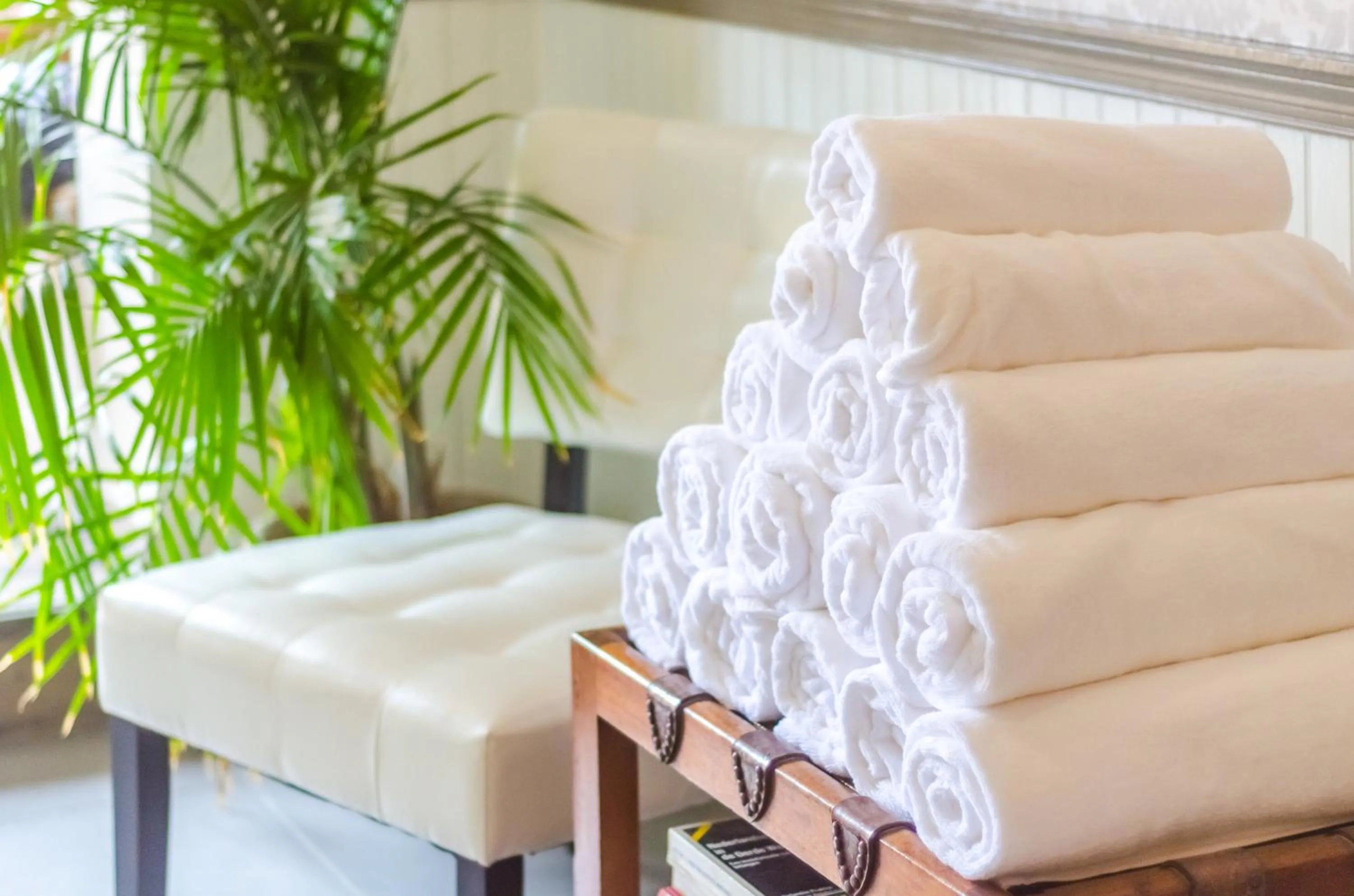 Area and facilities in Bed & Bike Curacao - Pietermaai