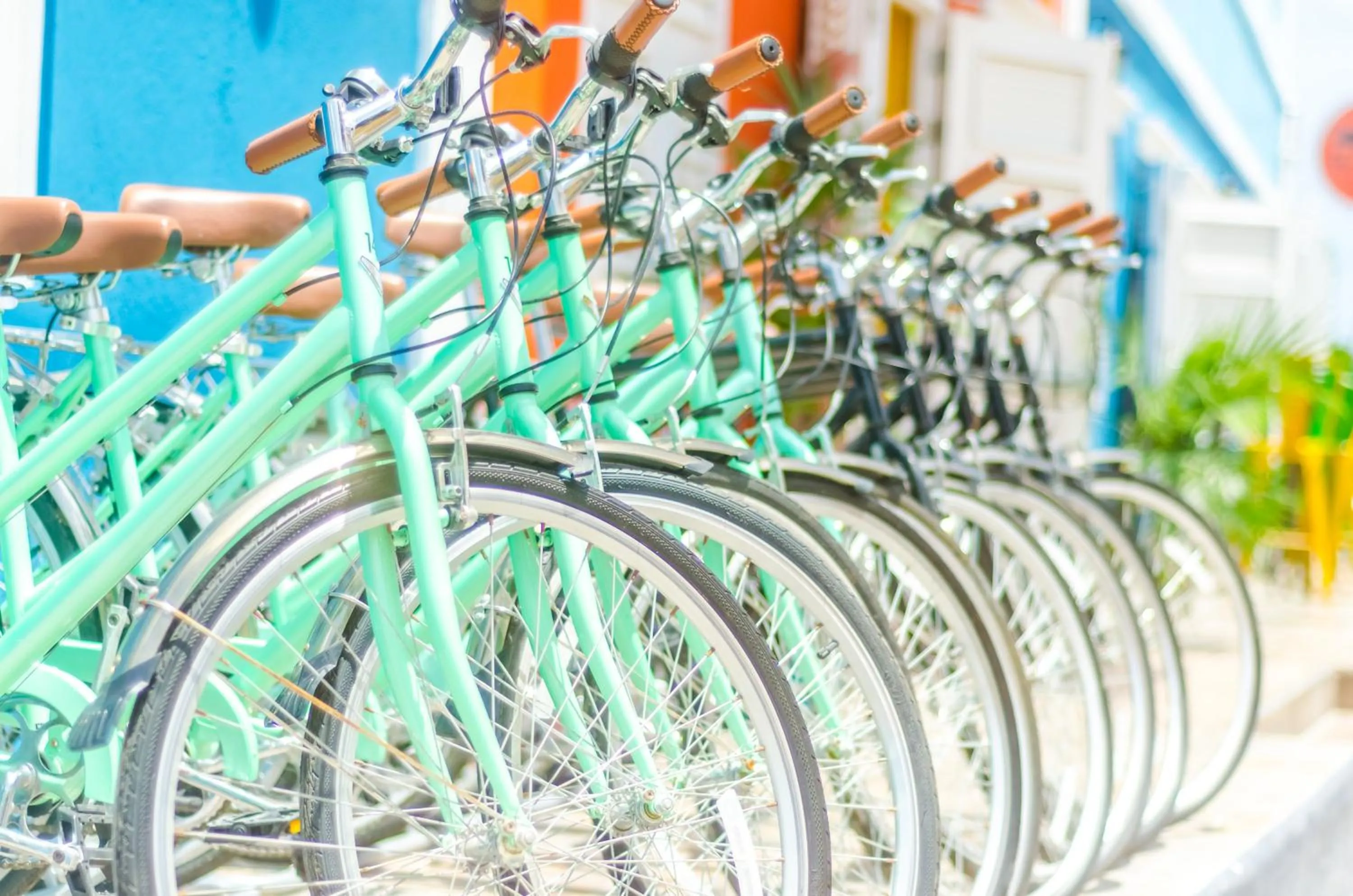 Cycling in Bed & Bike Curacao - Pietermaai