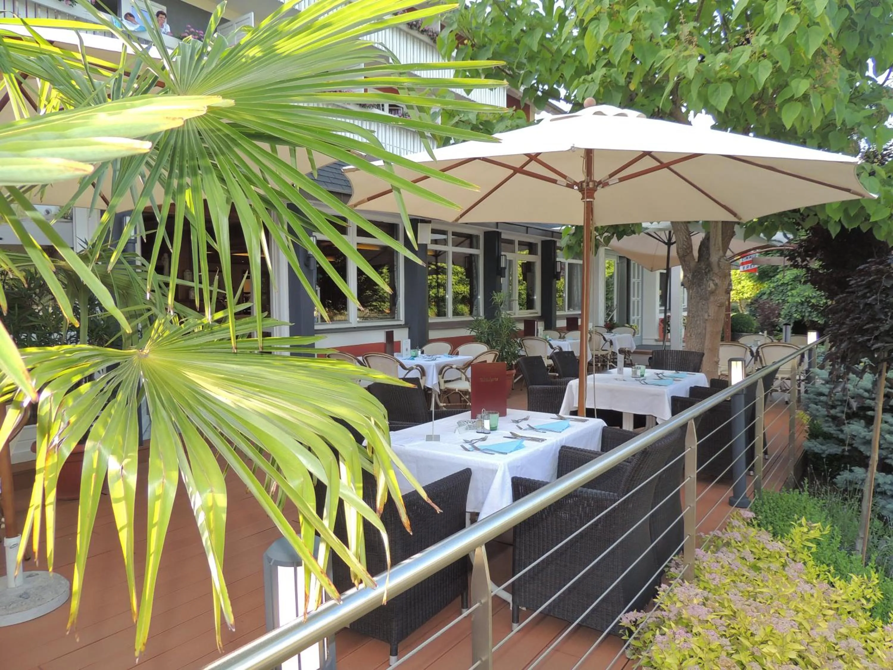 Balcony/Terrace in Hotel Silvia