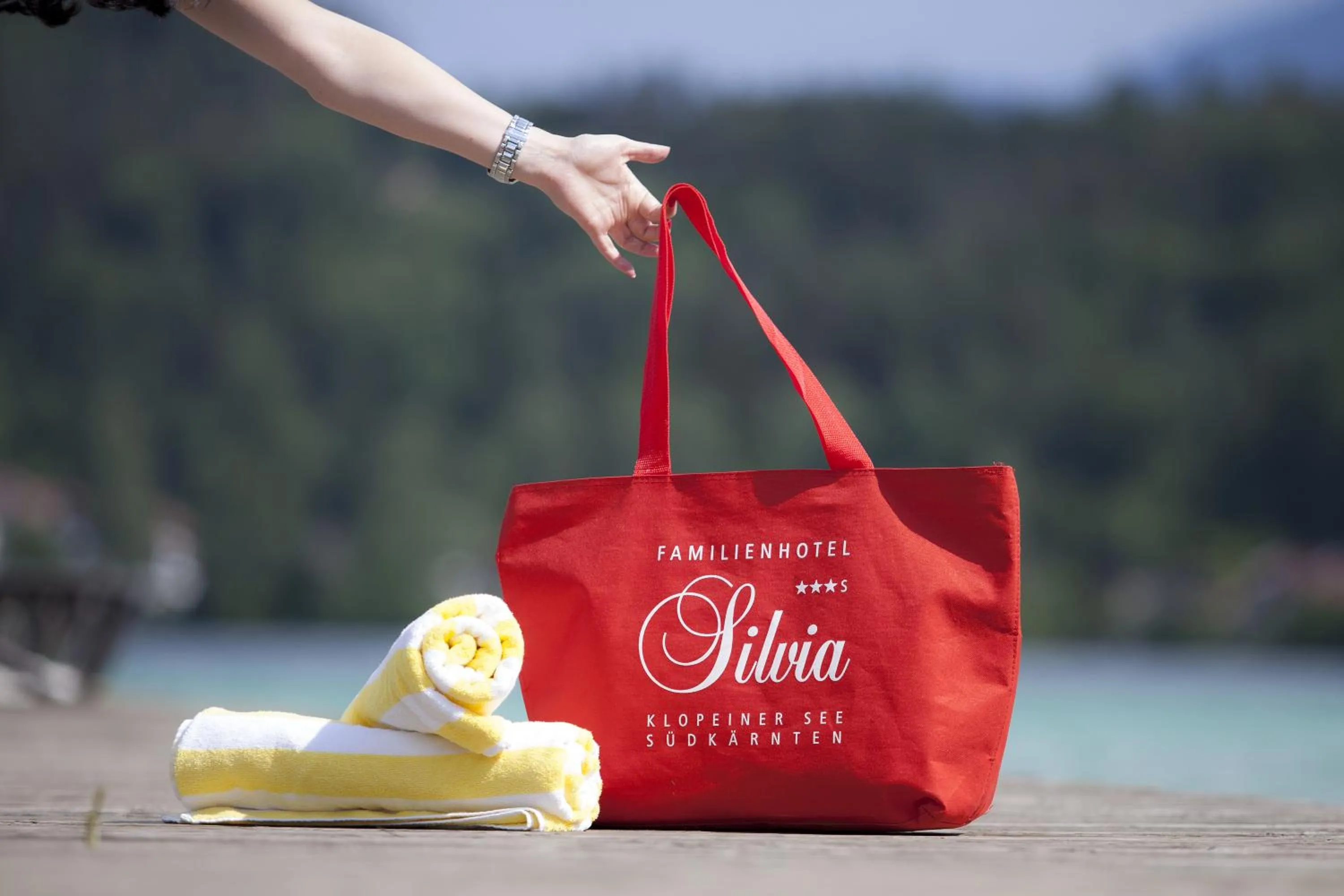 Property logo or sign in Hotel Silvia