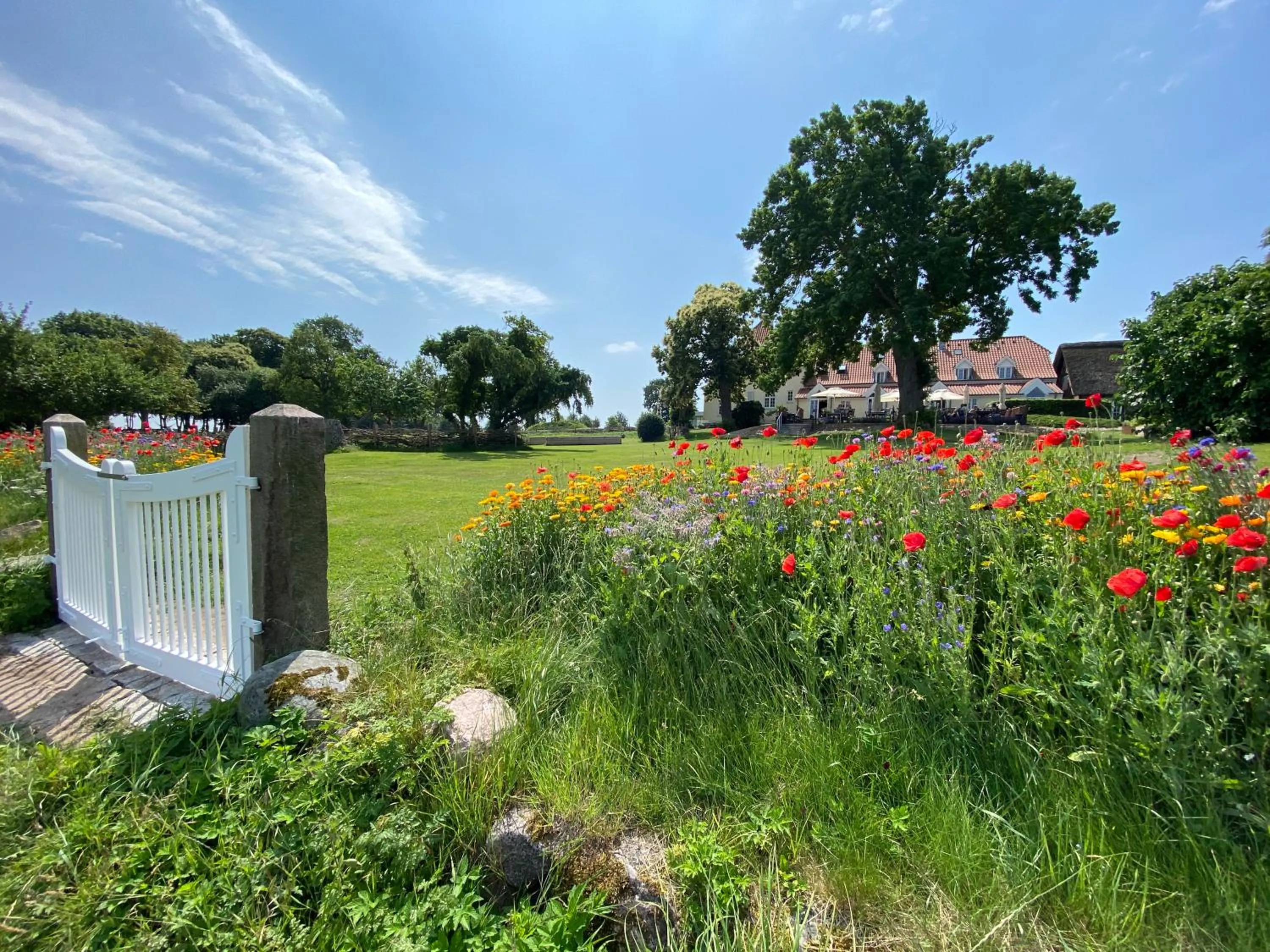 Summer in Gl. Avernæs Sinatur Hotel & Konference