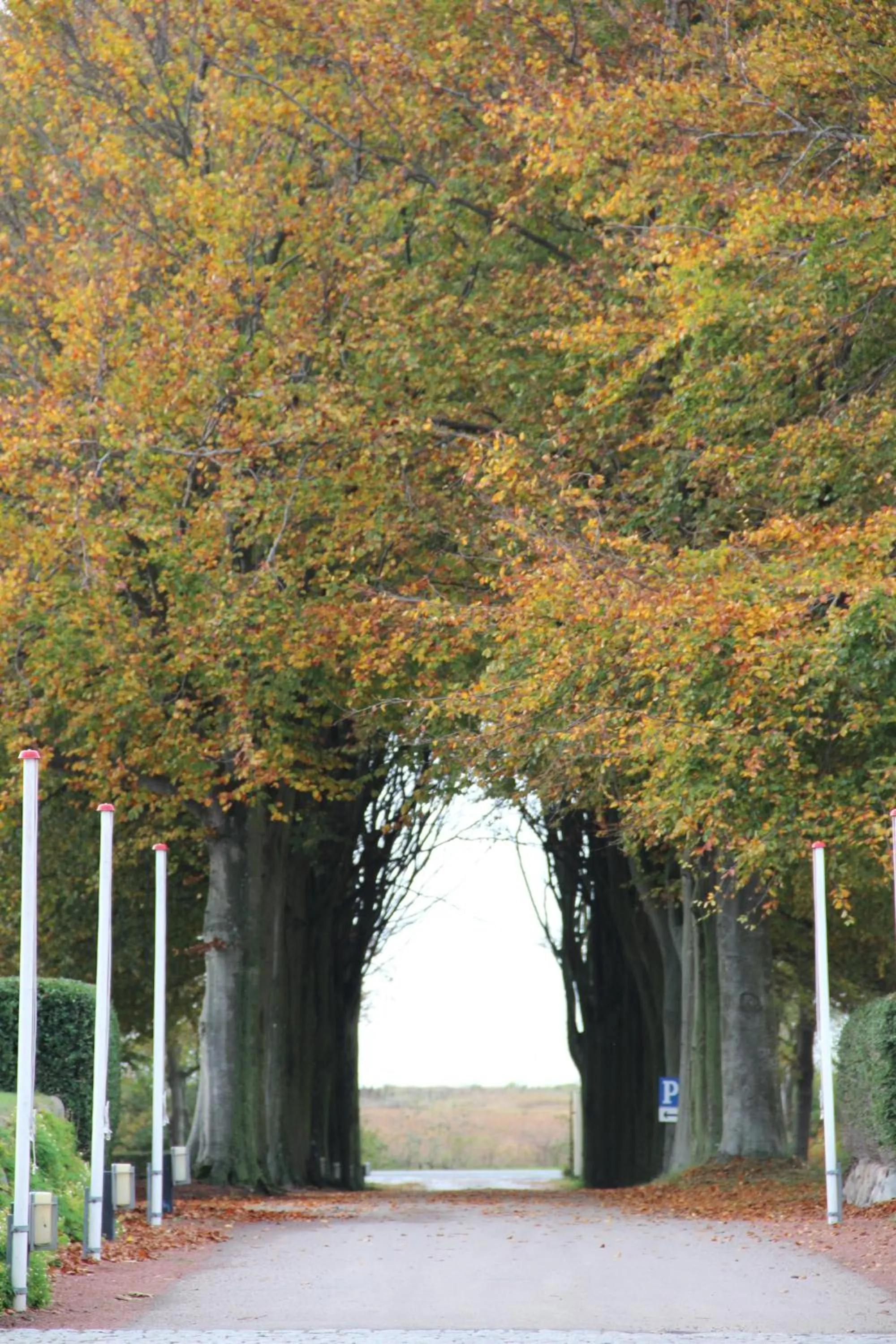 Autumn in Gl. Avernæs Sinatur Hotel & Konference