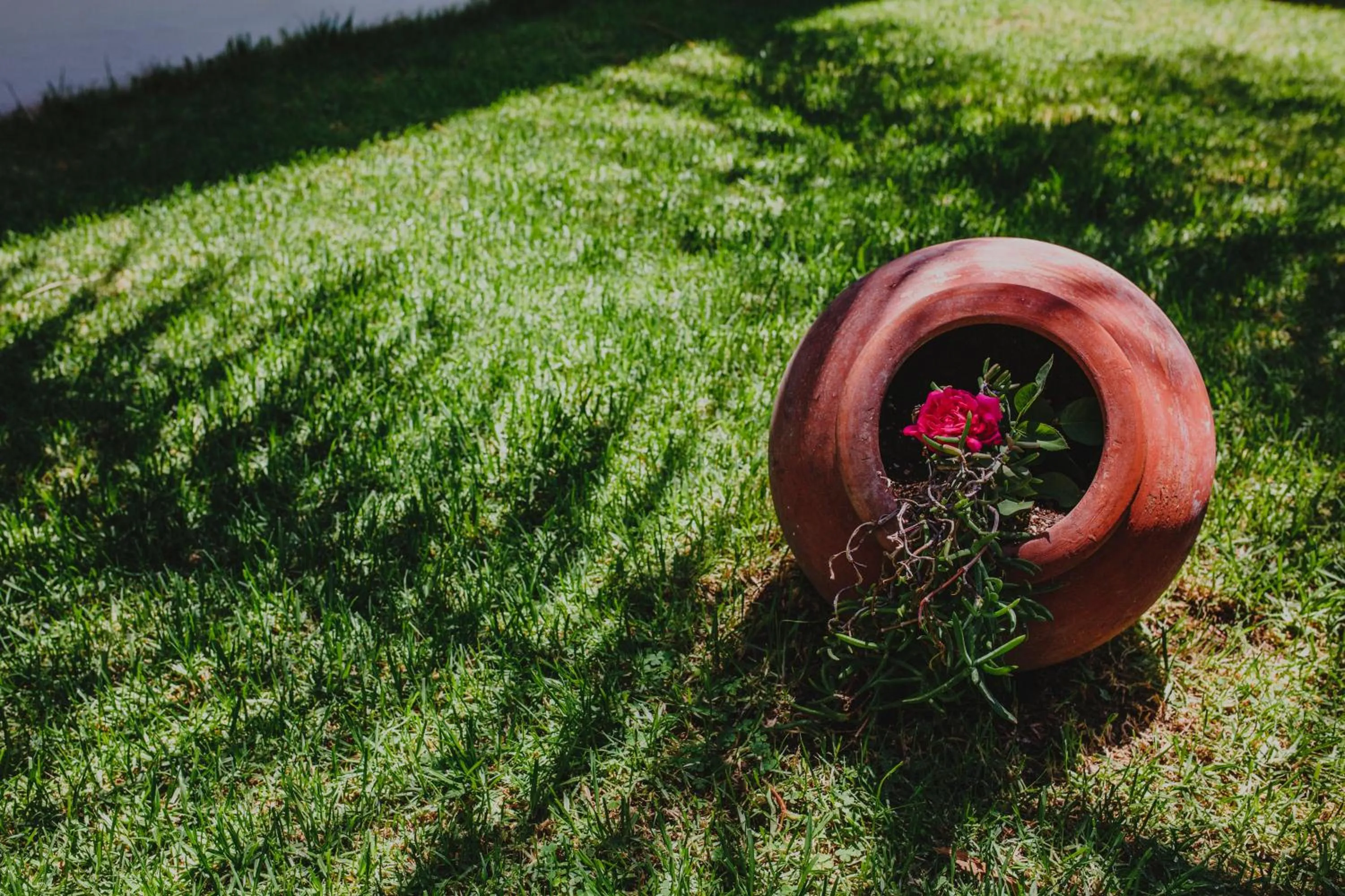 Day in Alkisti City Hotel