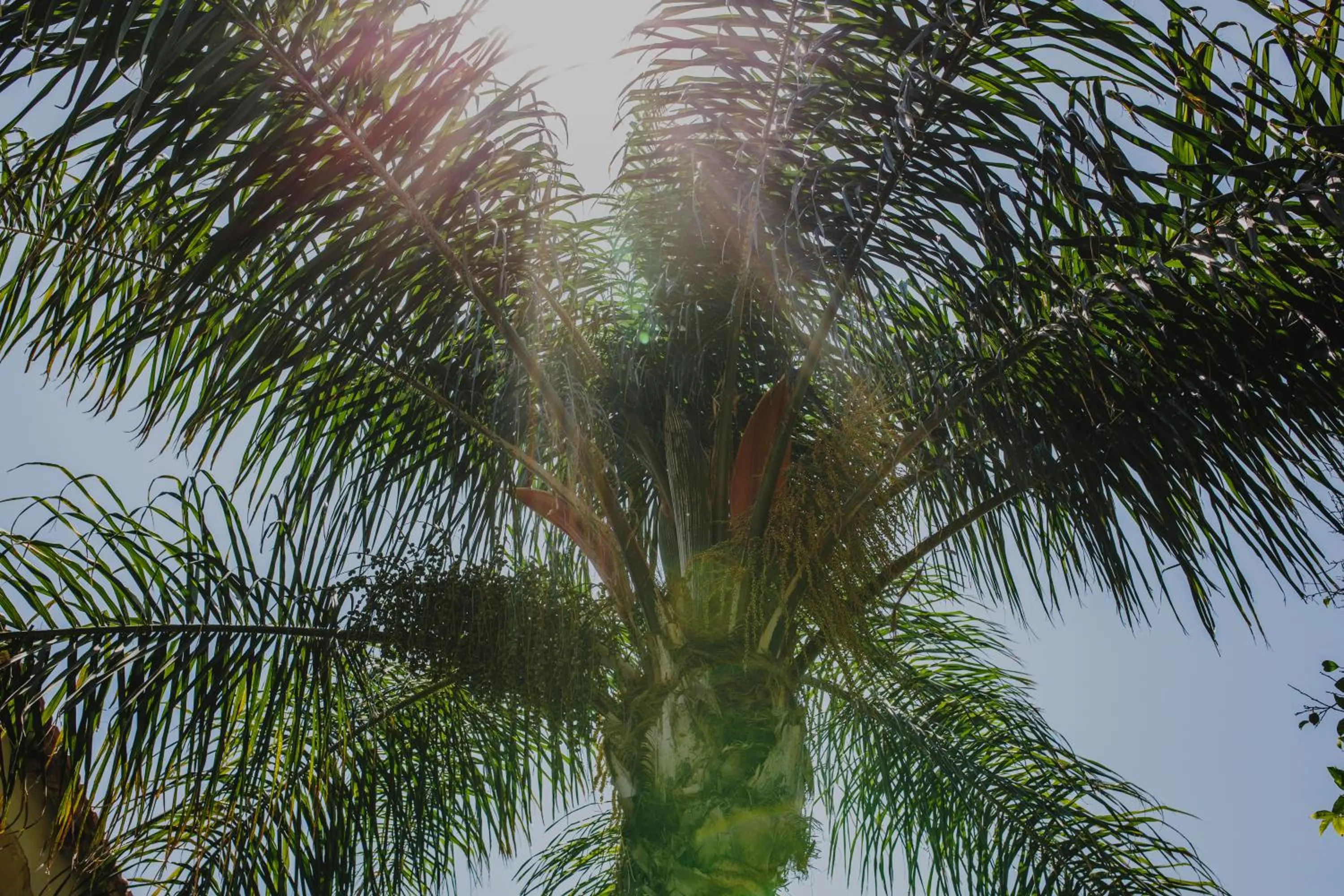 Day in Alkisti City Hotel