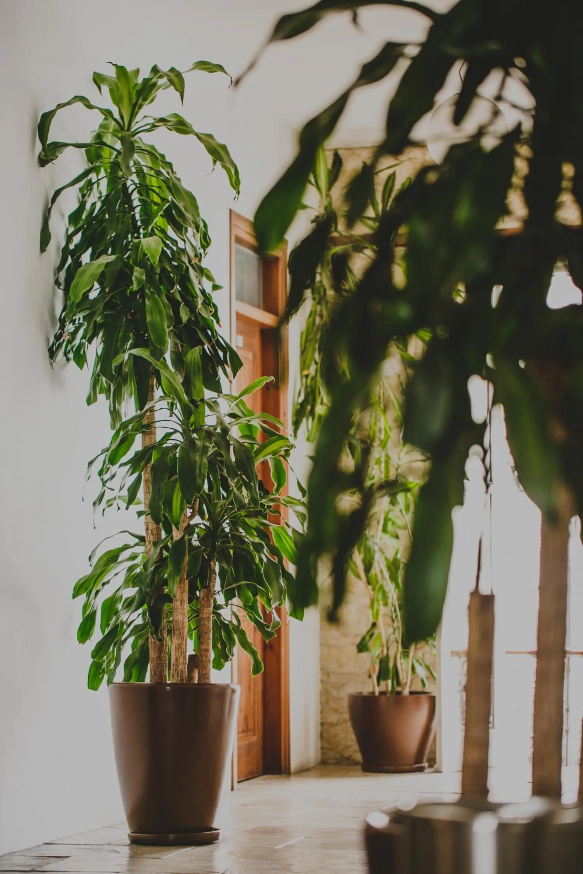 Facade/entrance in Alkisti City Hotel
