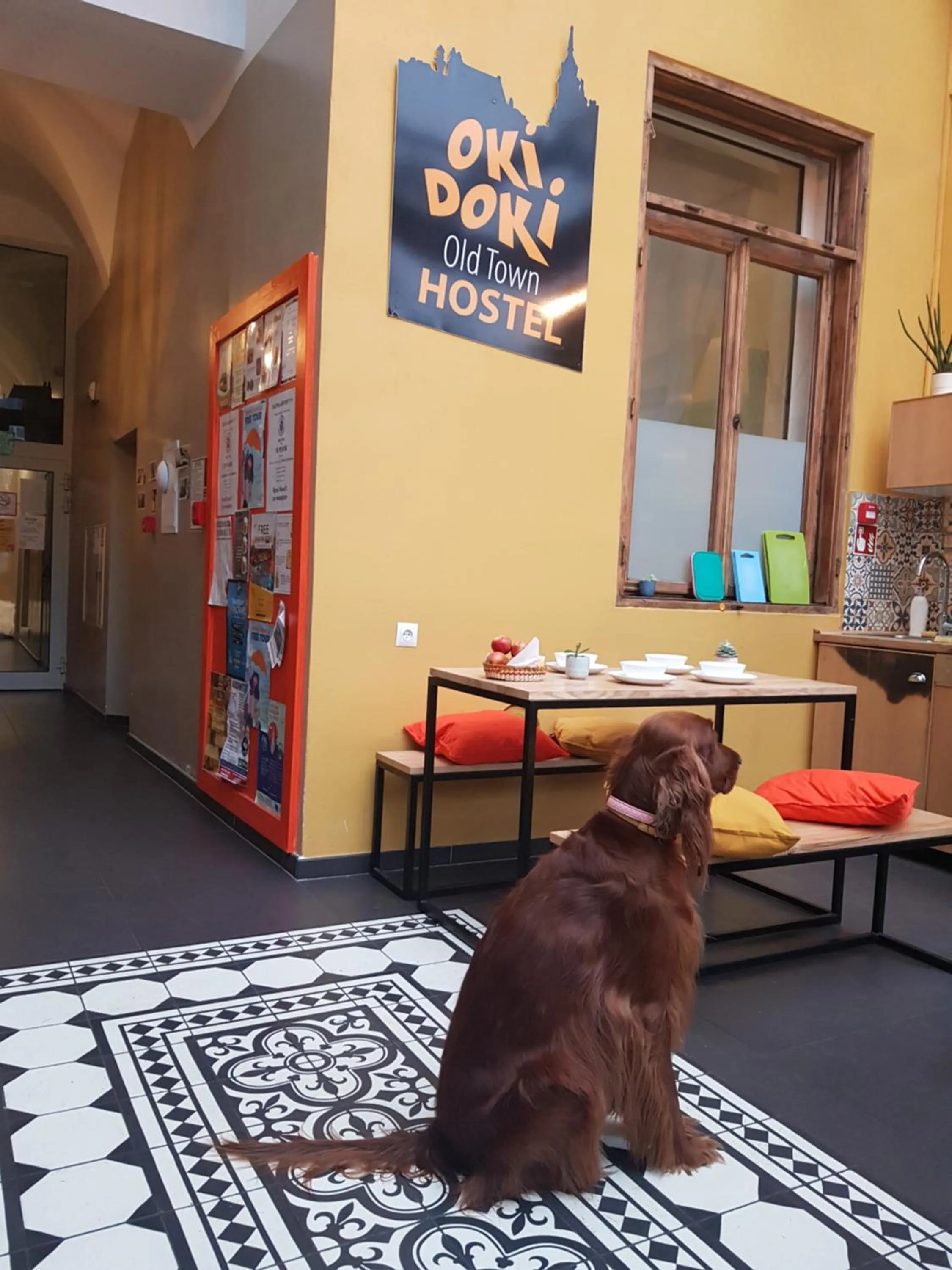 Property building in Oki Doki OLD TOWN