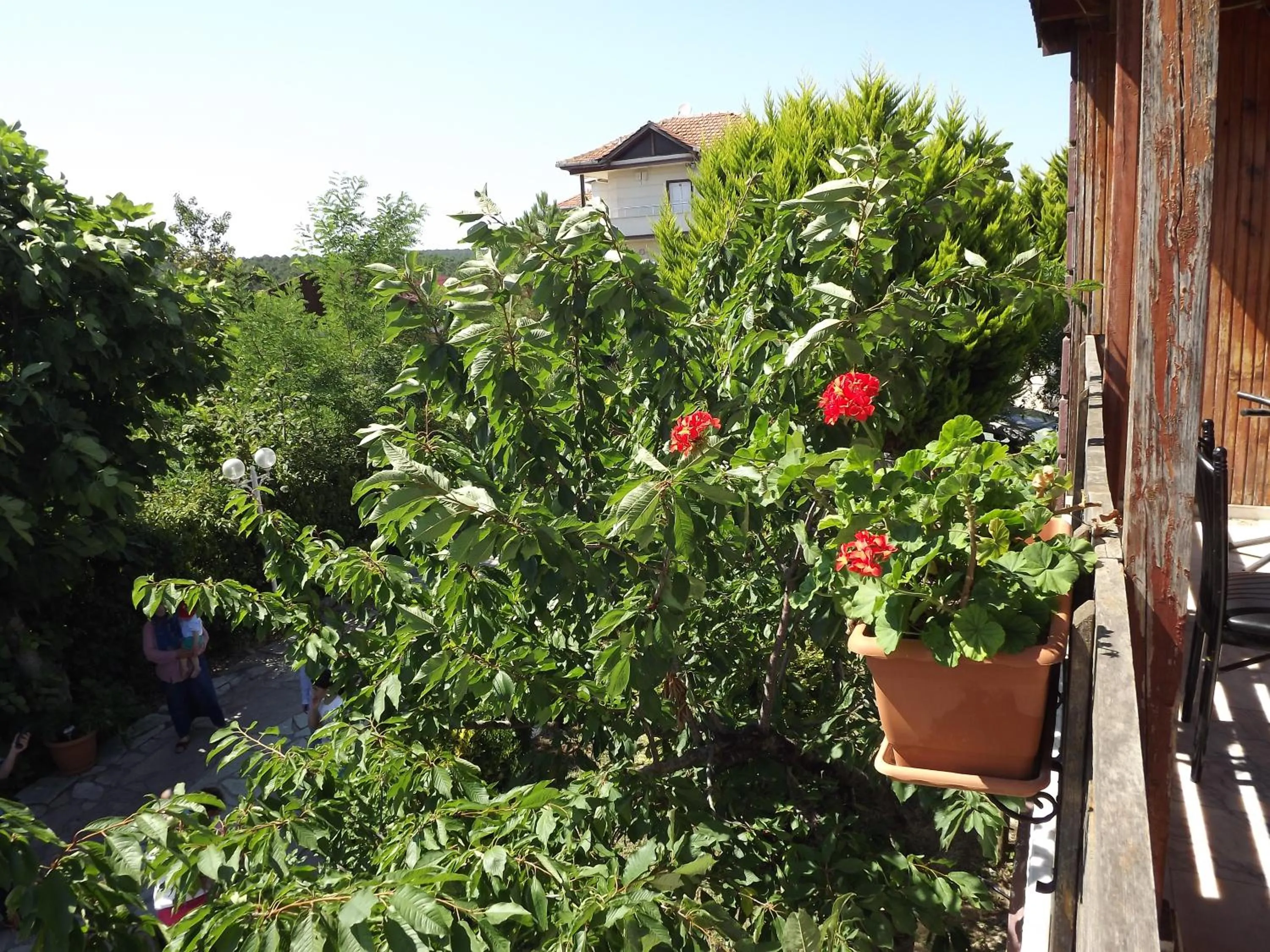 Hamsilos Apart Hotel