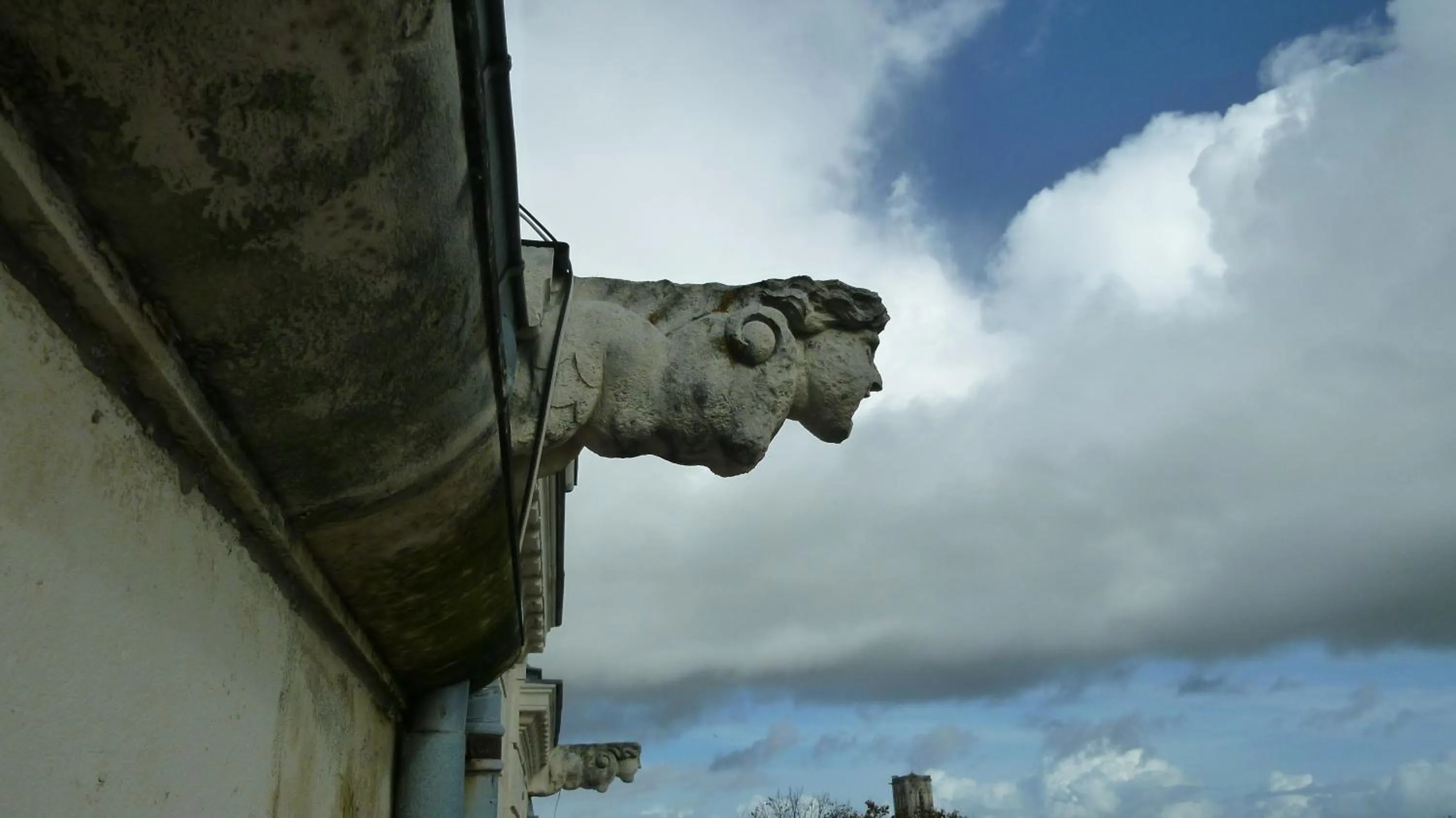 Decorative detail in Hôtel de l'Océan